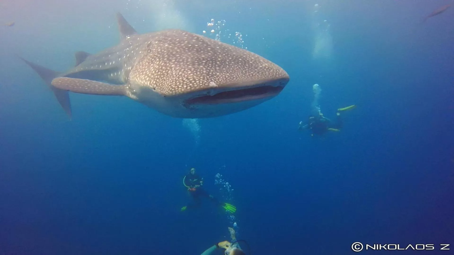 Snorkeling in AivyMaes Divers Resort