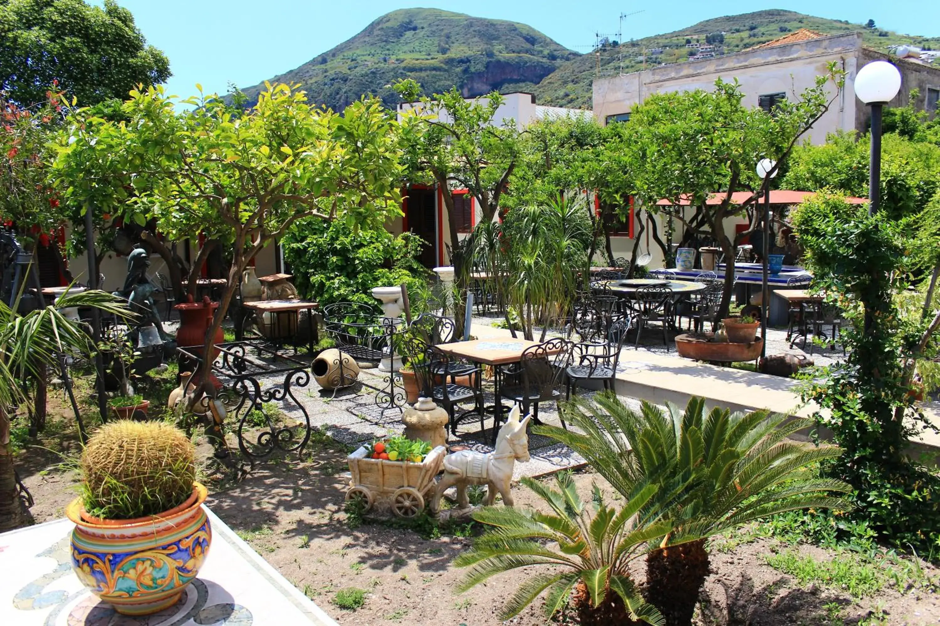 Garden, Pool View in Hotel Oriente