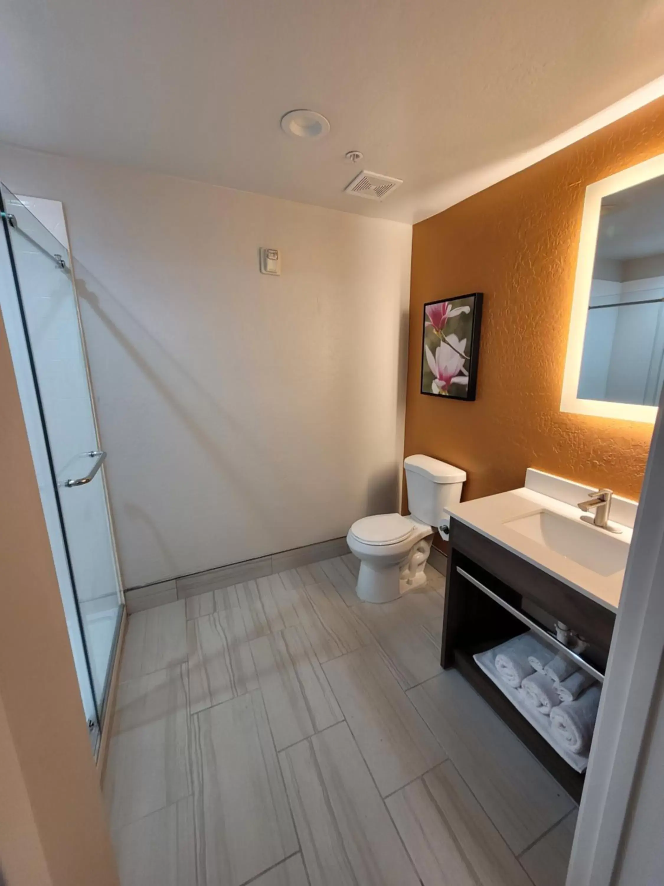 Shower, Bathroom in Best Western Bellemont Shadow Mountain Inn