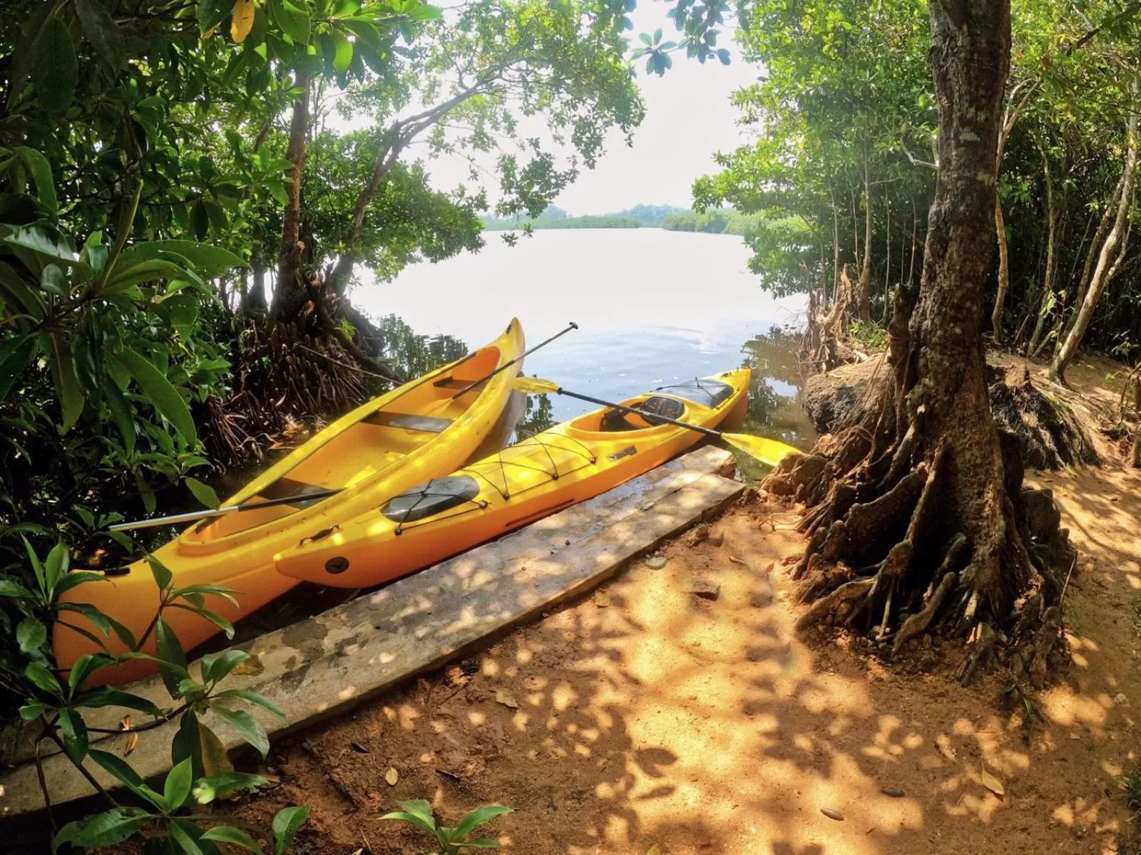 Canoeing in Kiss Blossom