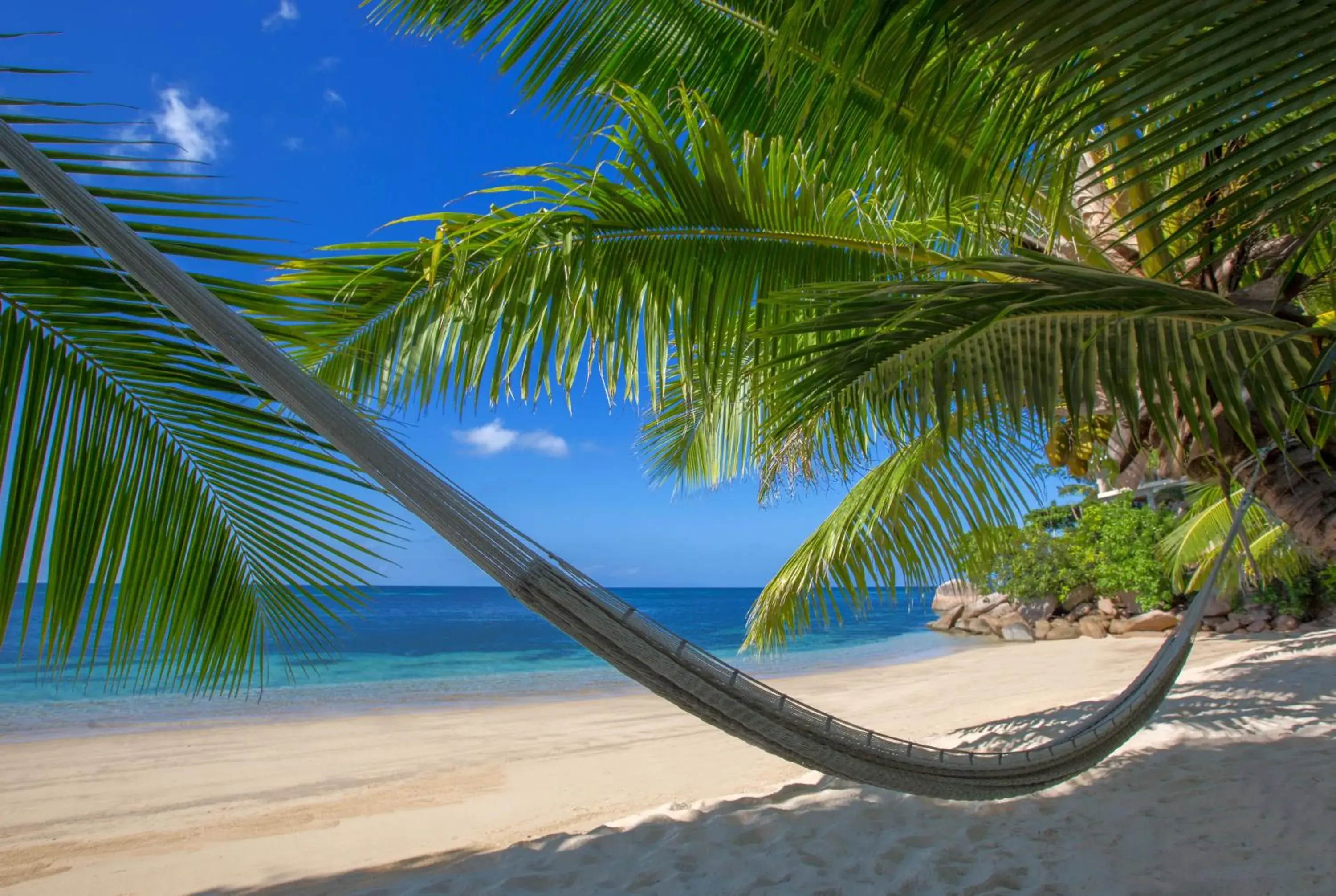 Beach in Coco de Mer and Black Parrot Suites