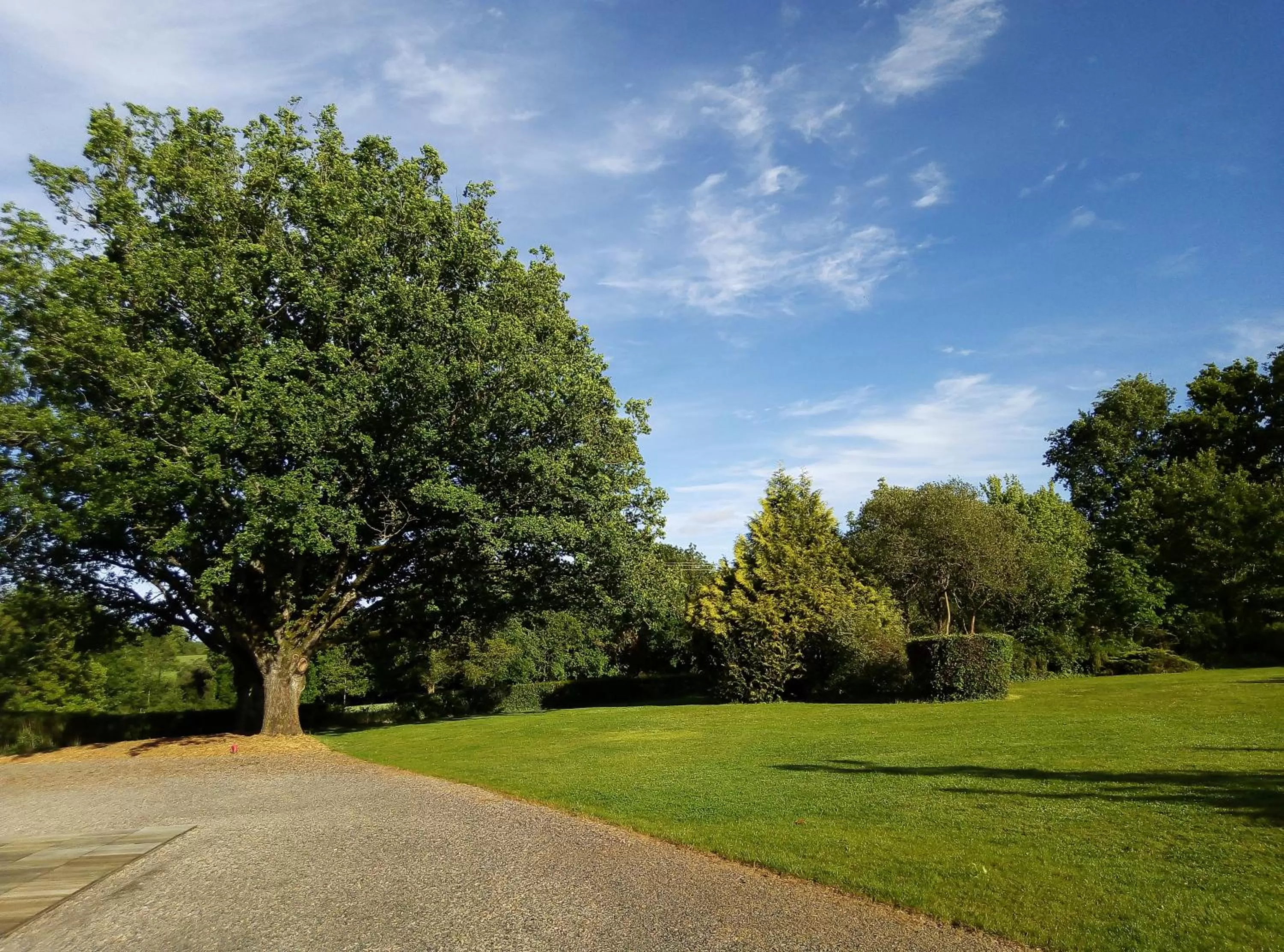 Garden in Chambre d'Hôtes La Bardinière