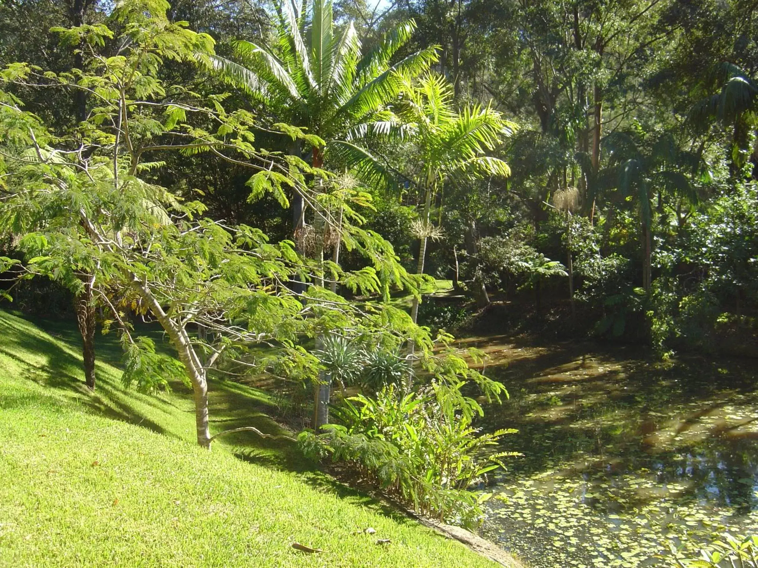 Garden in Sensom Luxury Boutique Bed and Breakfast