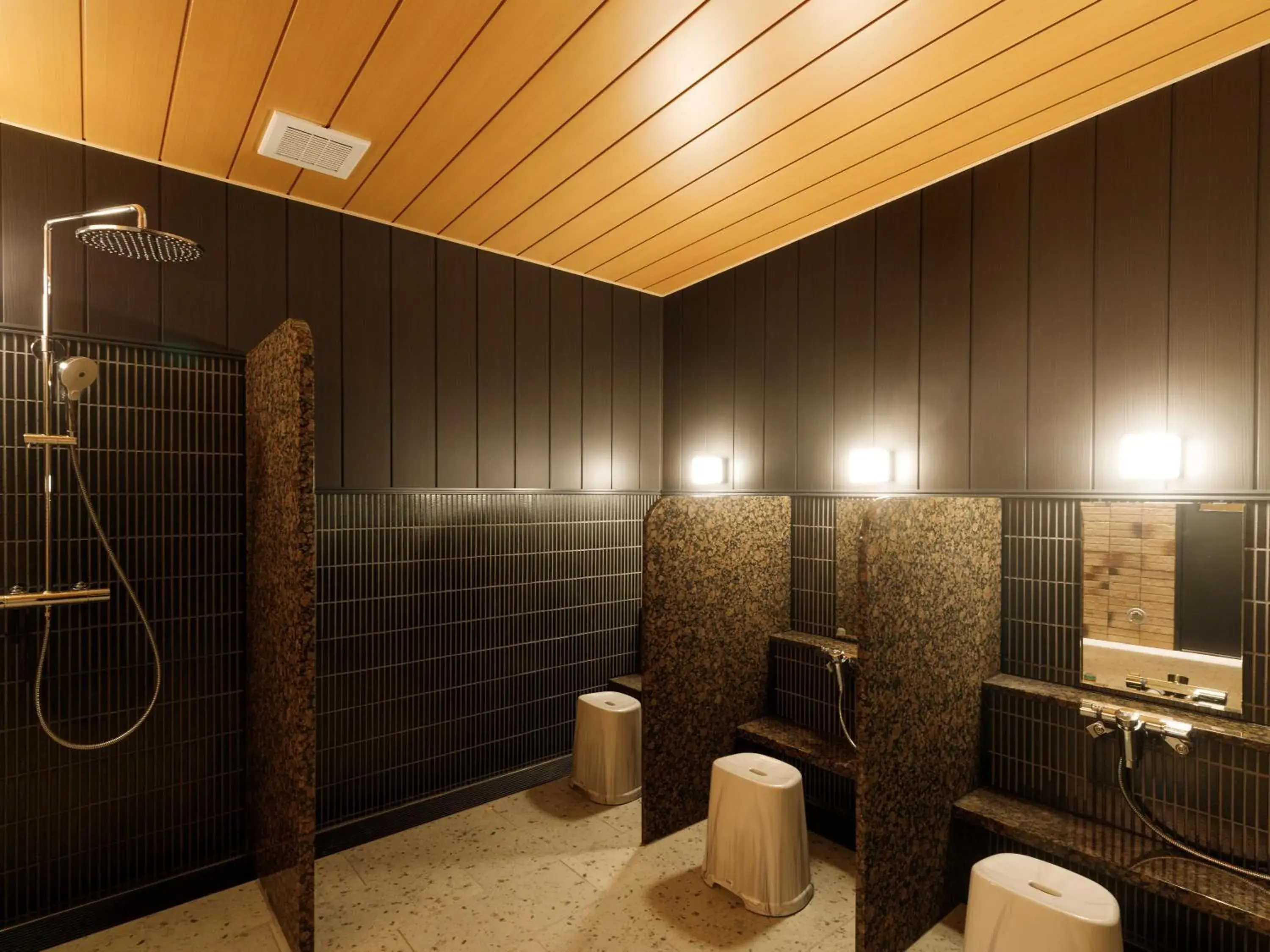 Sauna, Bathroom in Apa Hotel Toyama