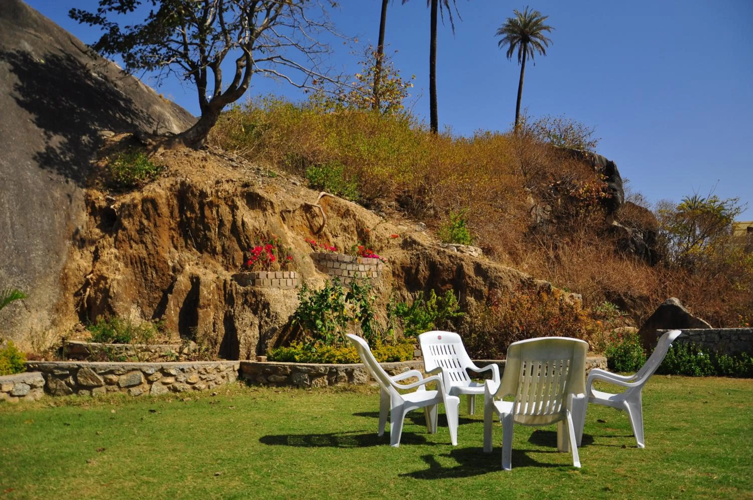Garden in Hotel Oasis