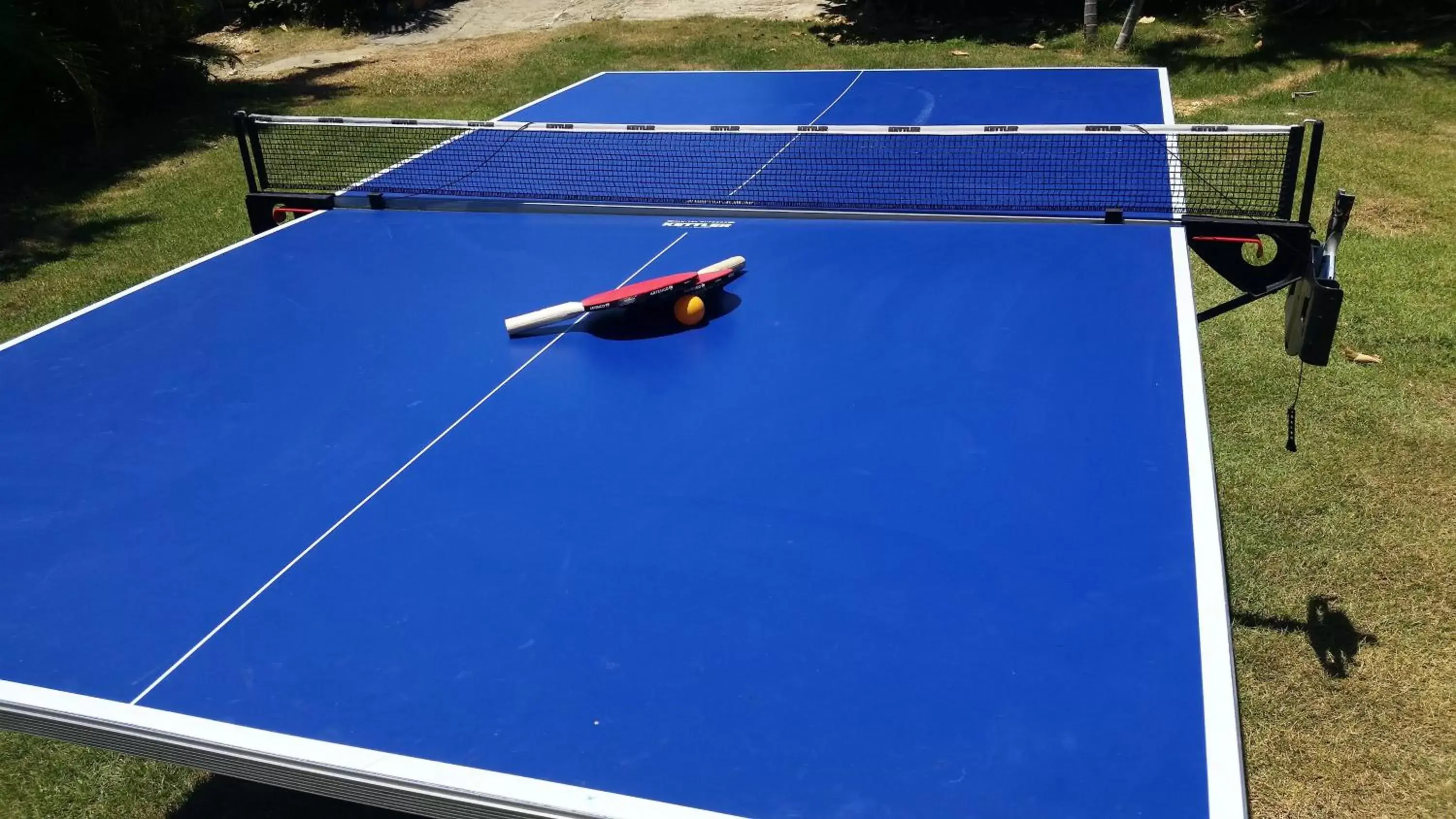 Table Tennis in Hotel Voramar