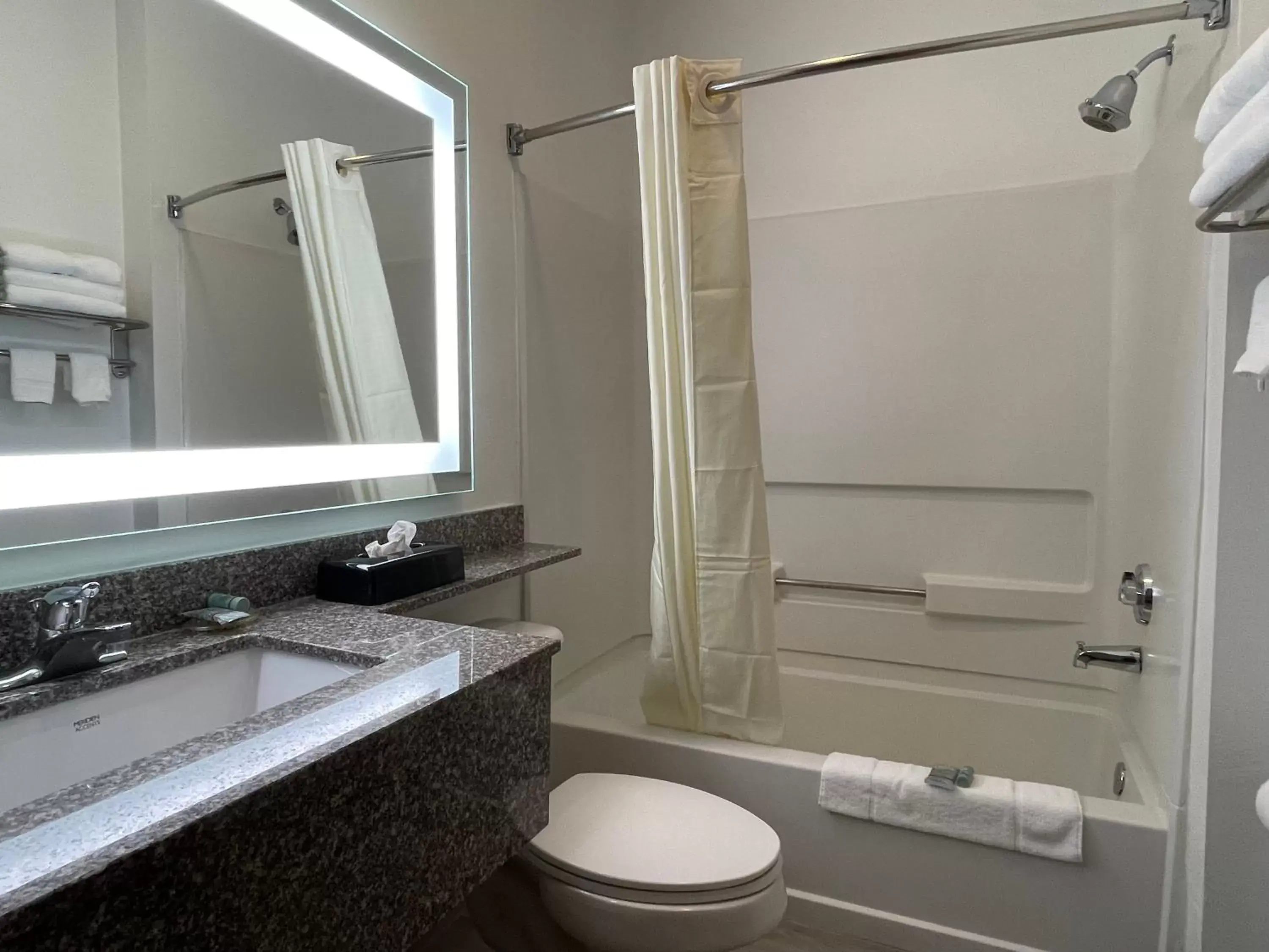 Bathroom in Best Western Roanoke Inn & Suites