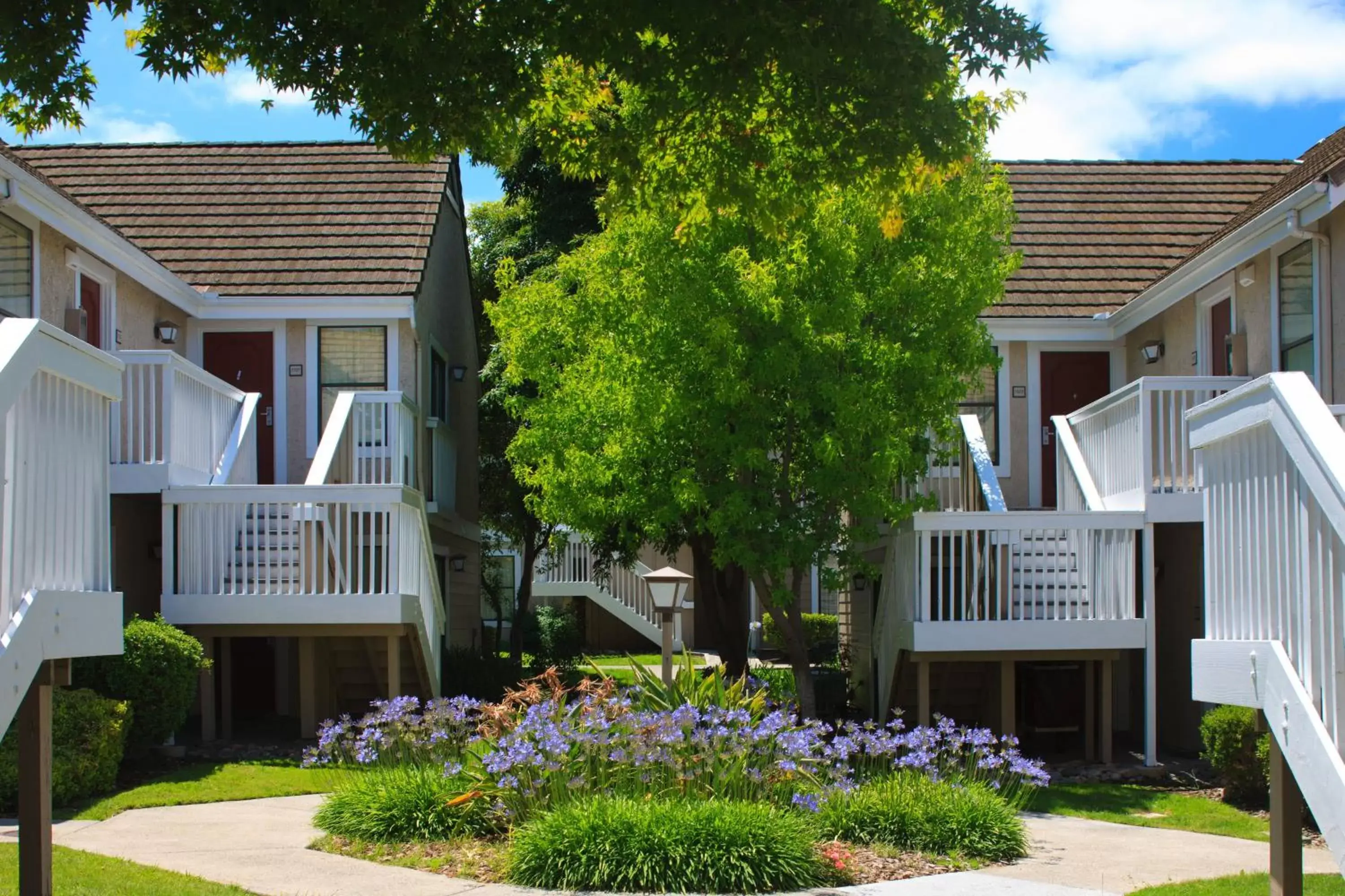 Property Building in Residence Inn by Marriott San Francisco Airport San Mateo