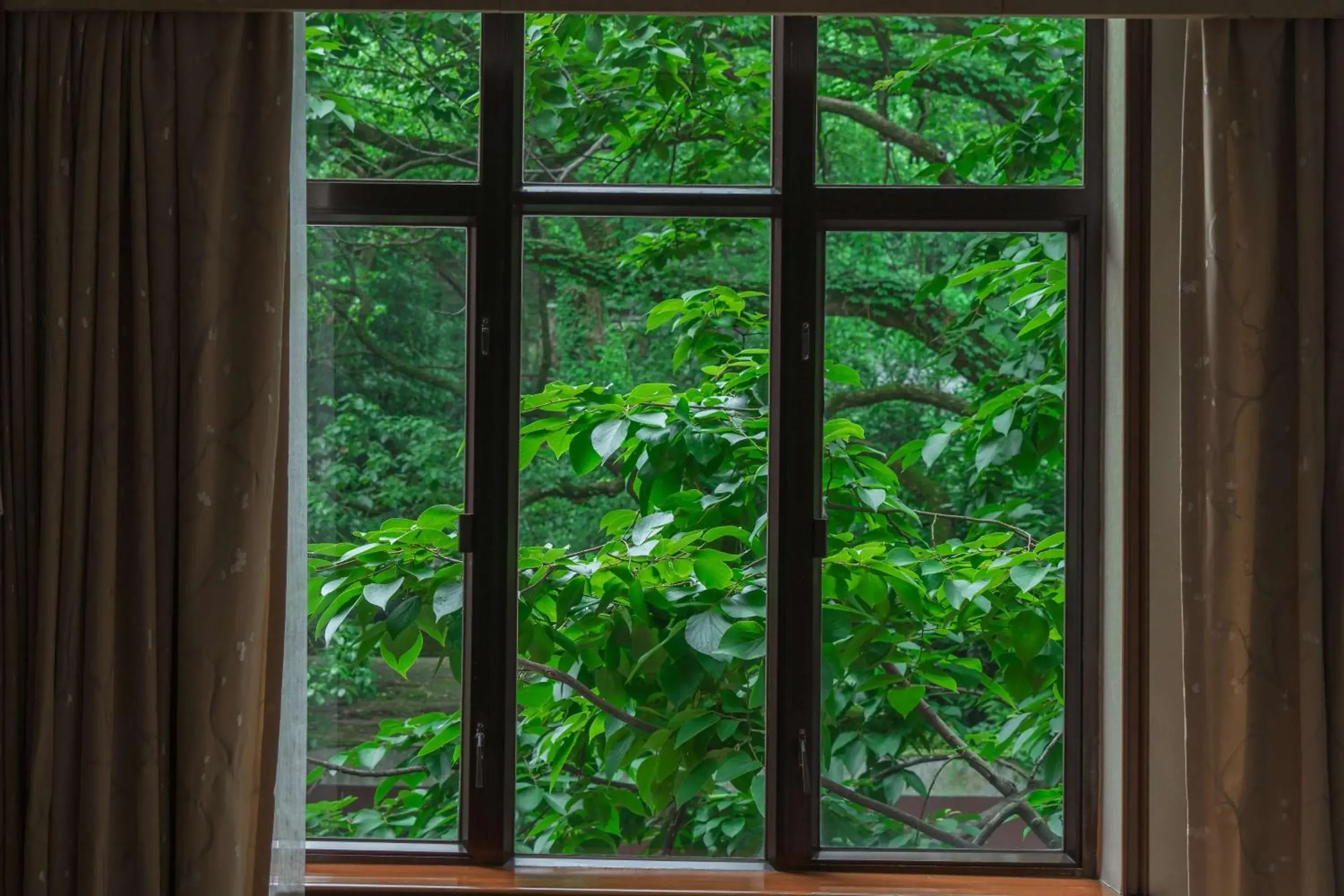 Photo of the whole room, Pool View in Shangri-La Hotel, Hangzhou