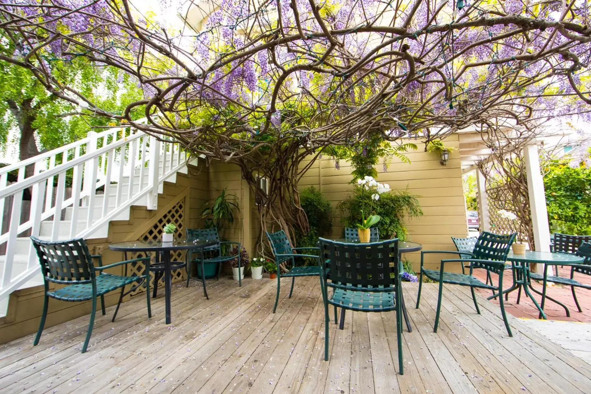 Balcony/Terrace in Bath Street Inn