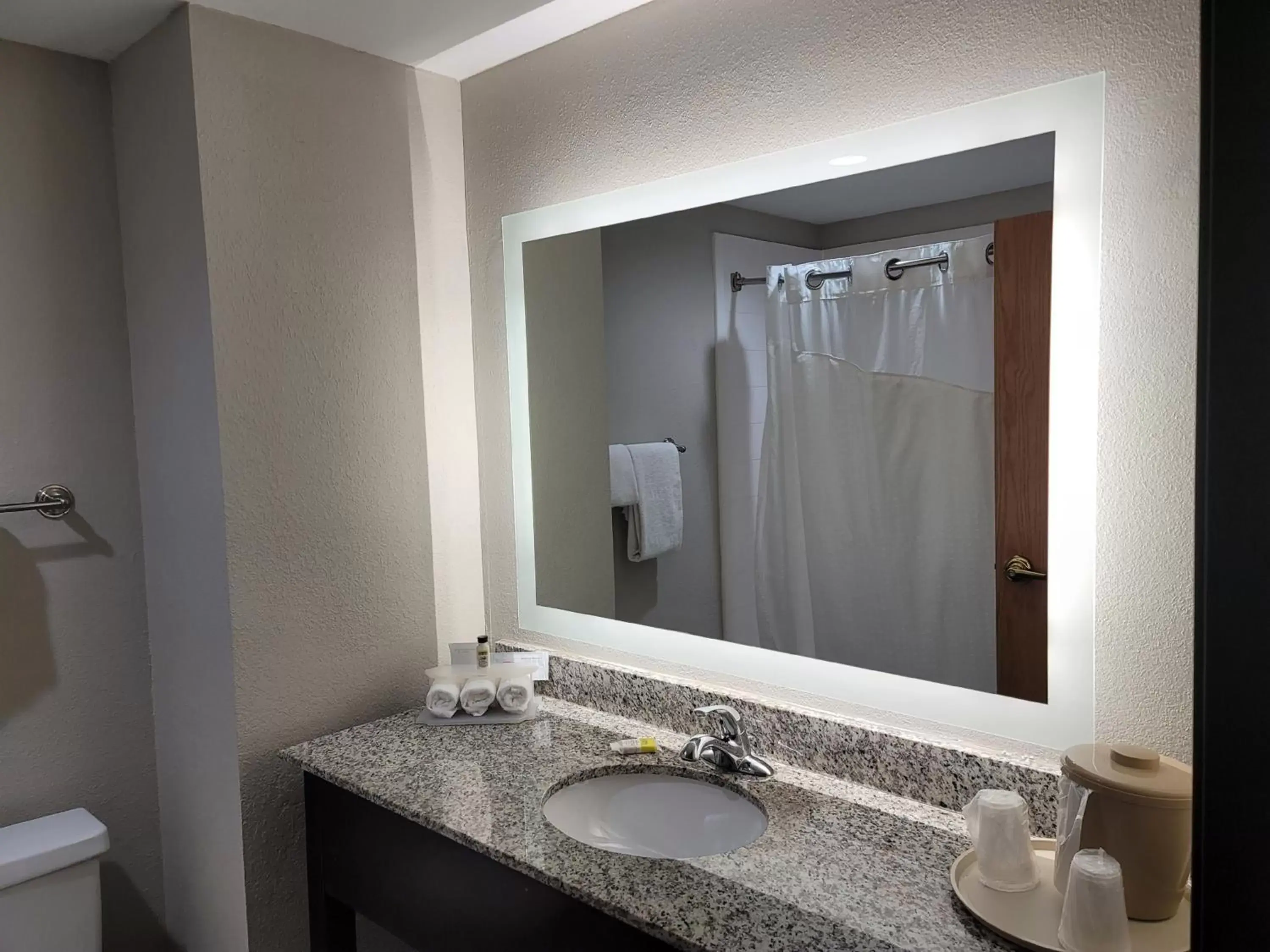Bathroom in Holiday Inn Express Hotel & Suites - Wilson - Downtown, an IHG Hotel