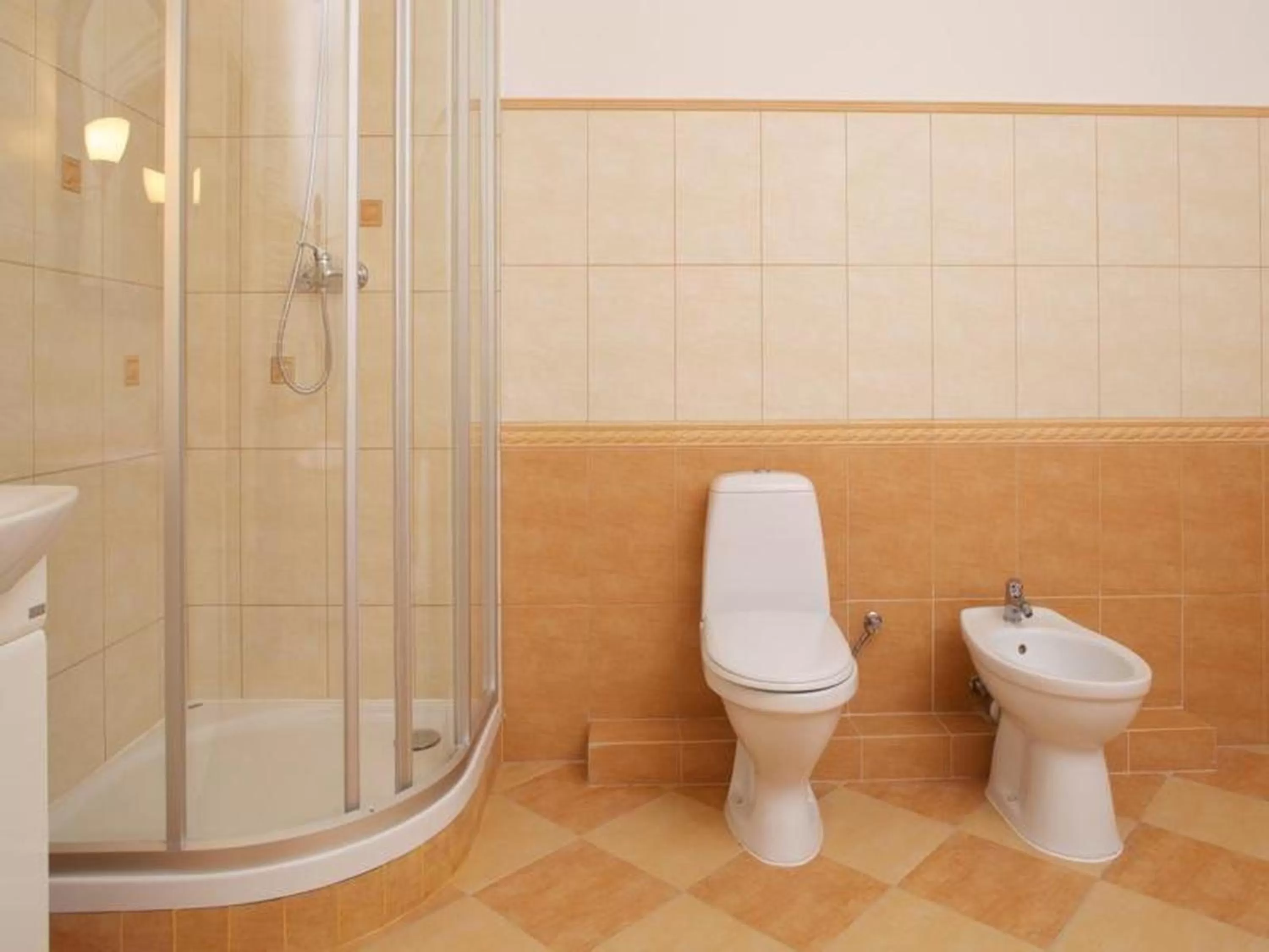 Mini-Hotel Under The Roof