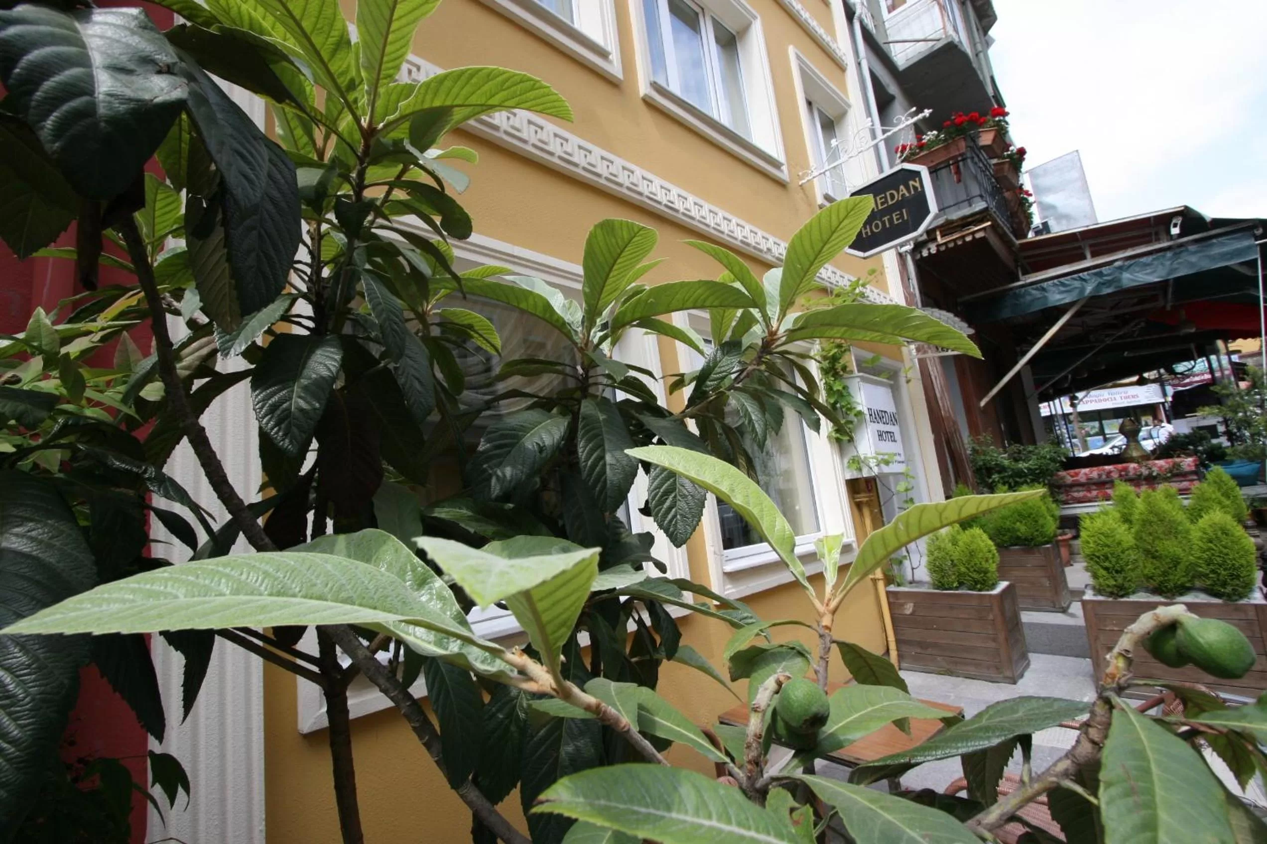 Facade/entrance in Hanedan Hotel