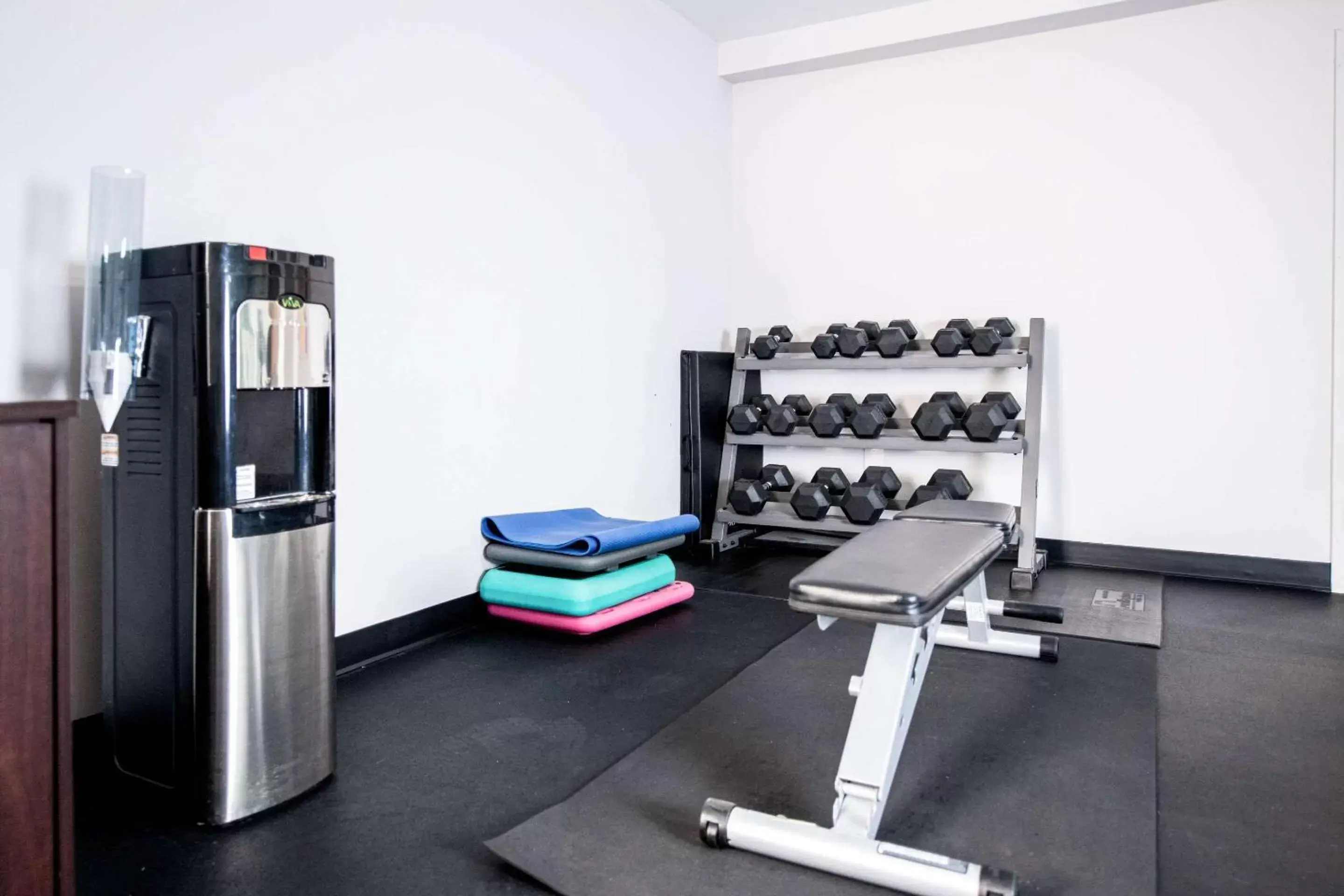 Fitness centre/facilities, Fitness Center/Facilities in Clarion Hotel & Conference Center Leesburg