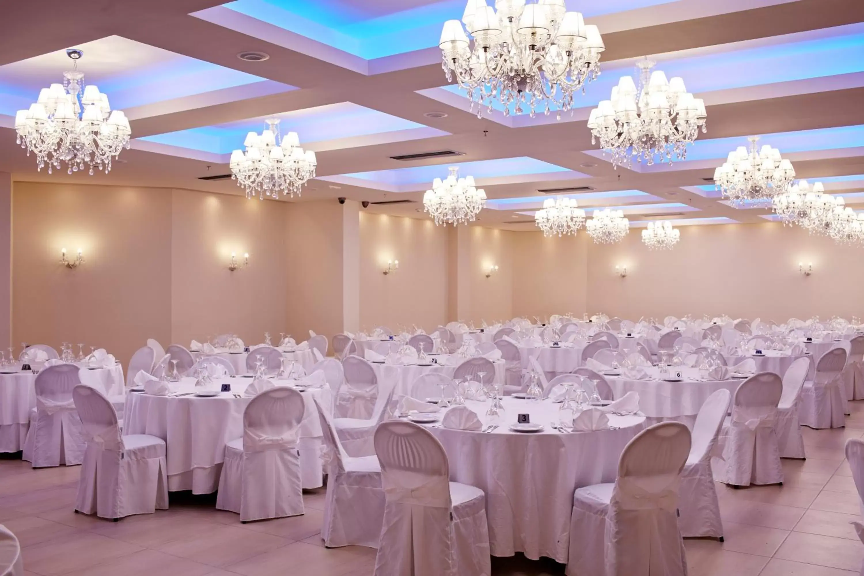 Banquet/Function facilities, Banquet Facilities in Aar Hotel & Spa Ioannina