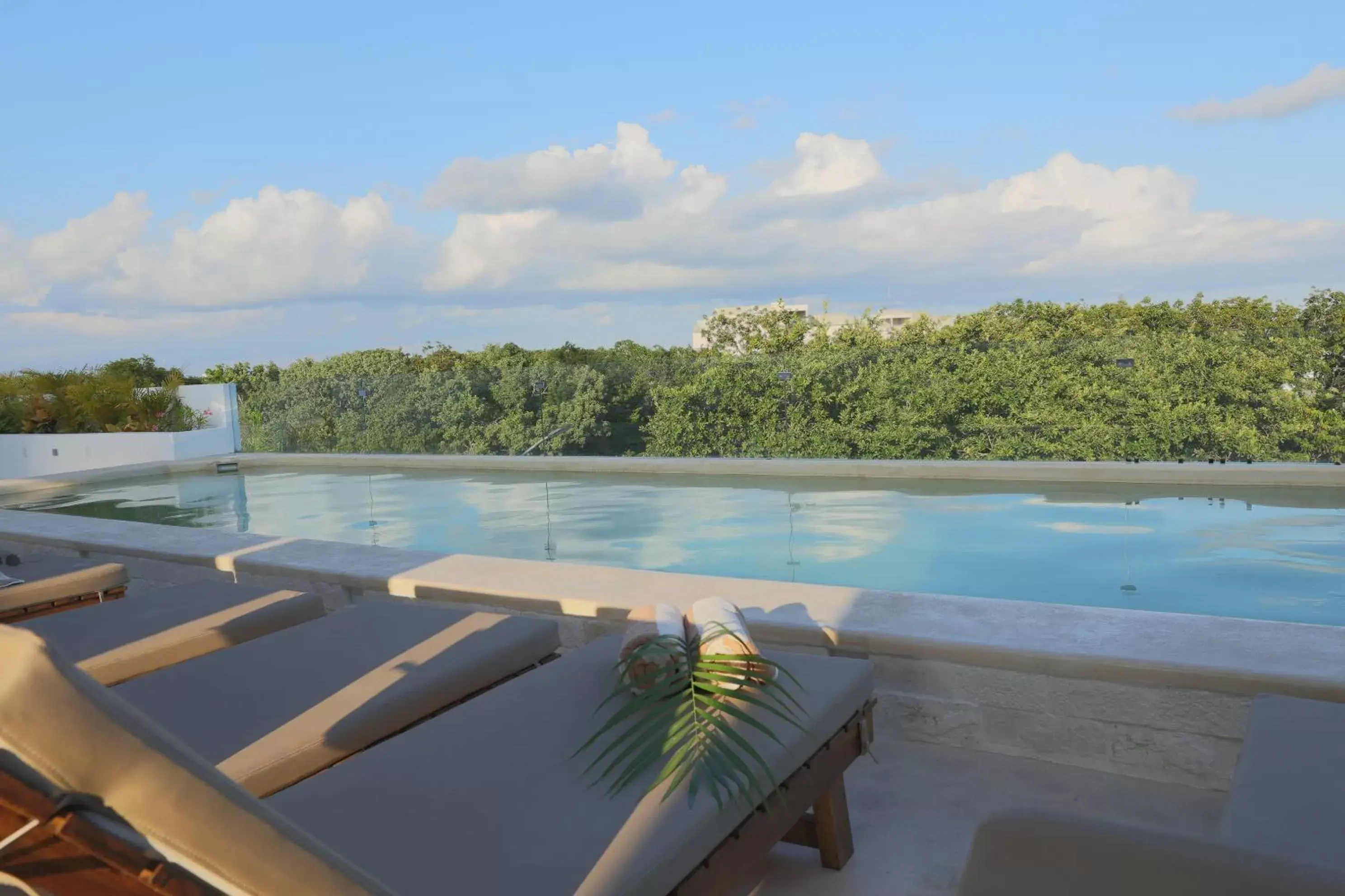 Swimming Pool in Hotel Blanco Tulum