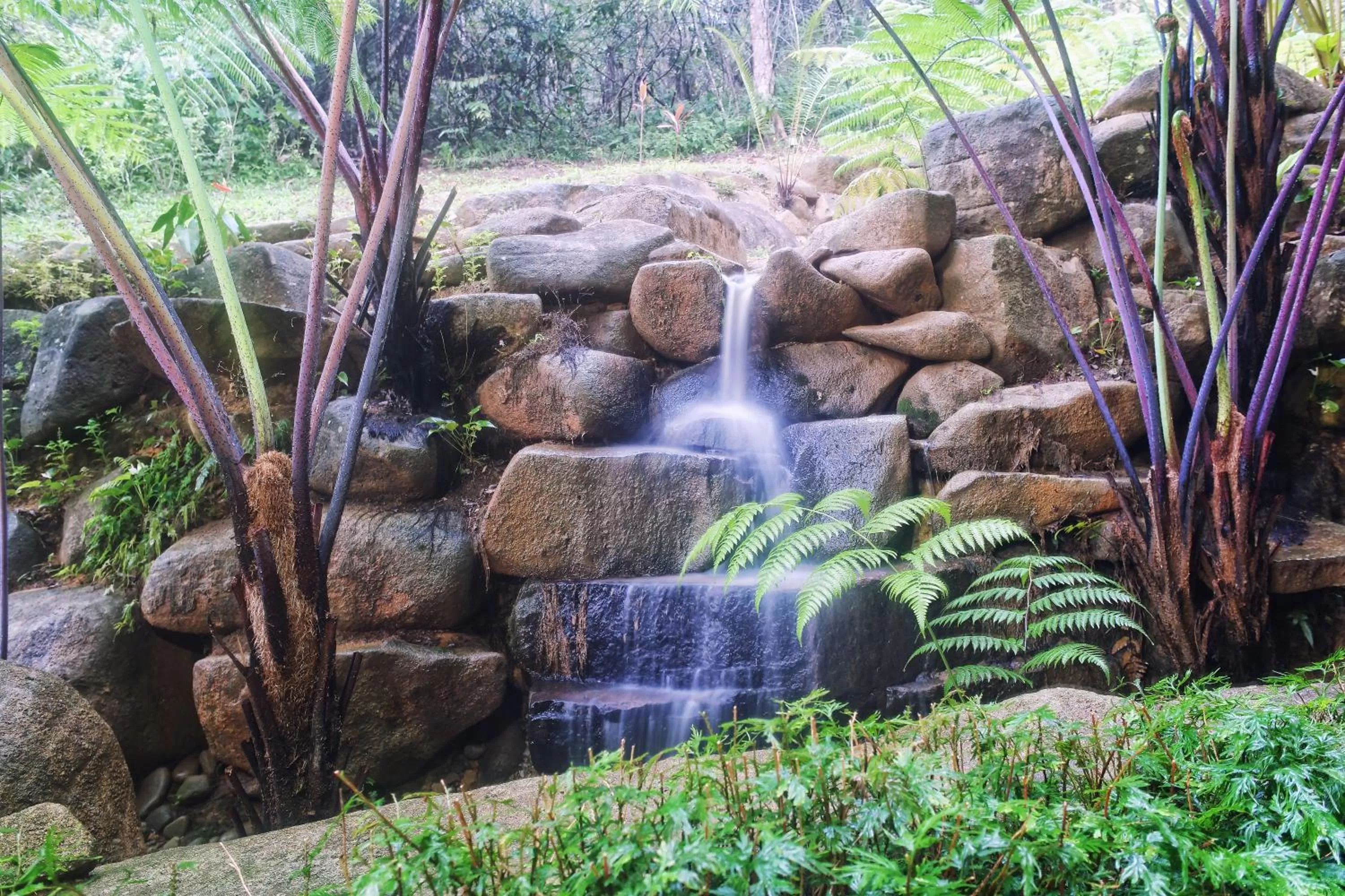 Other in Harmony Valley Retreat