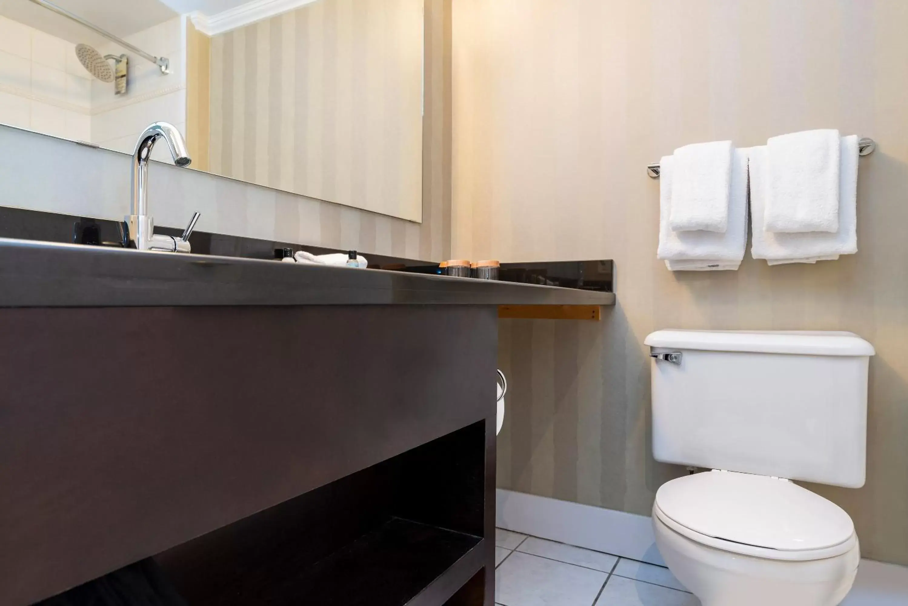 Toilet, Bathroom in Sandman Hotel Vancouver Airport