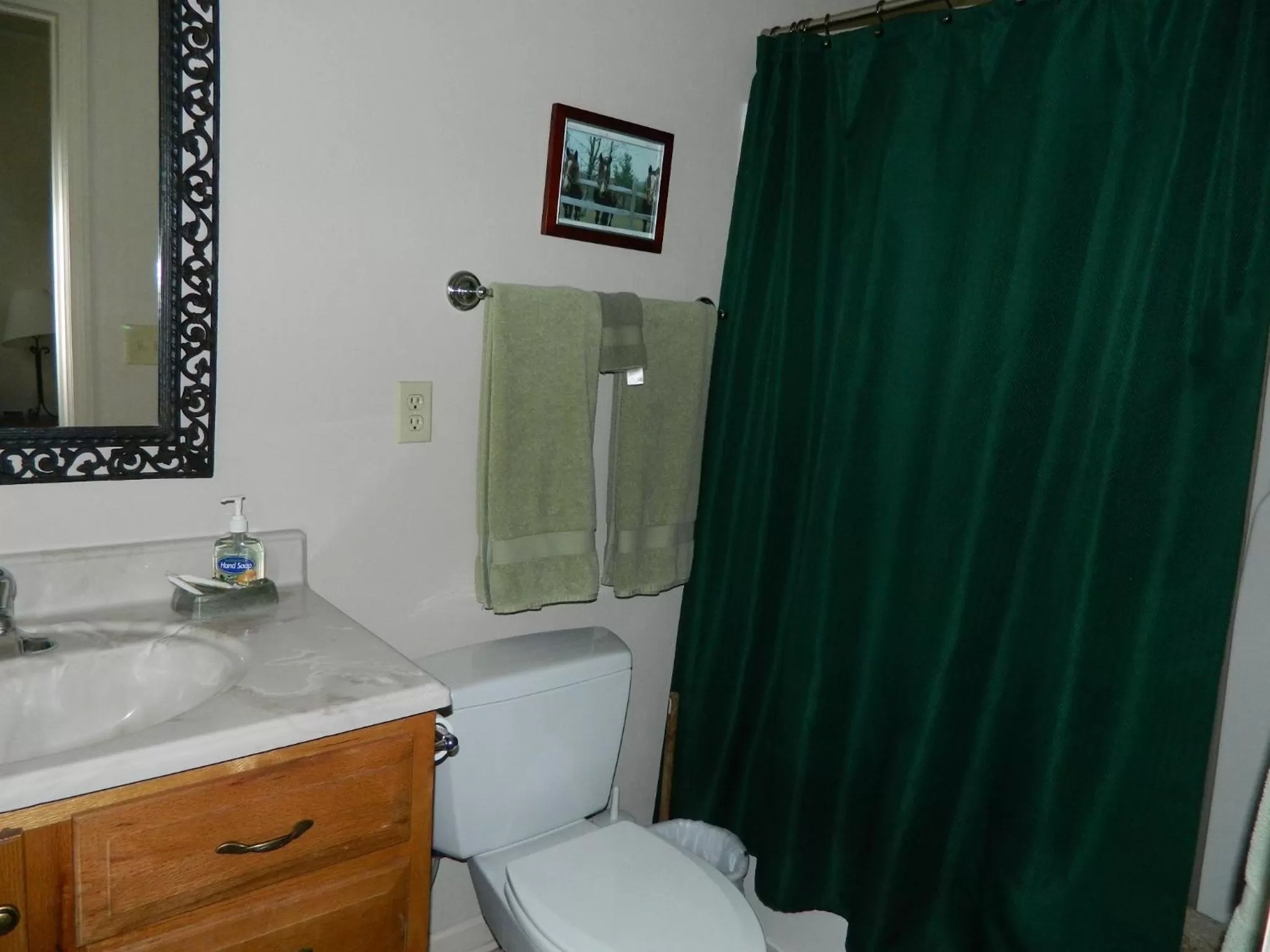 Bathroom in Bent Mountain Lodge Bed And Breakfast, Inc.