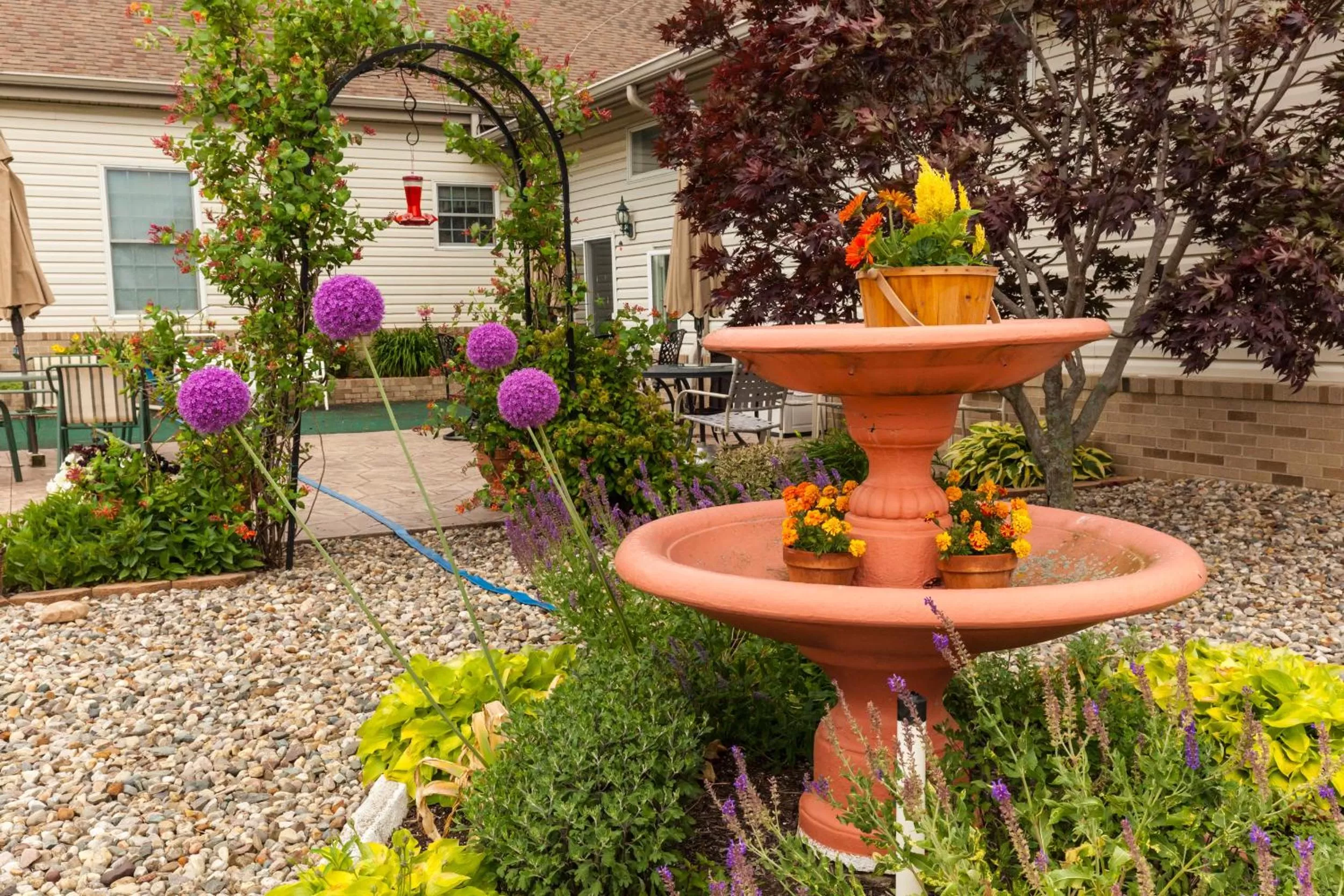 Scottish Bed & Breakfast