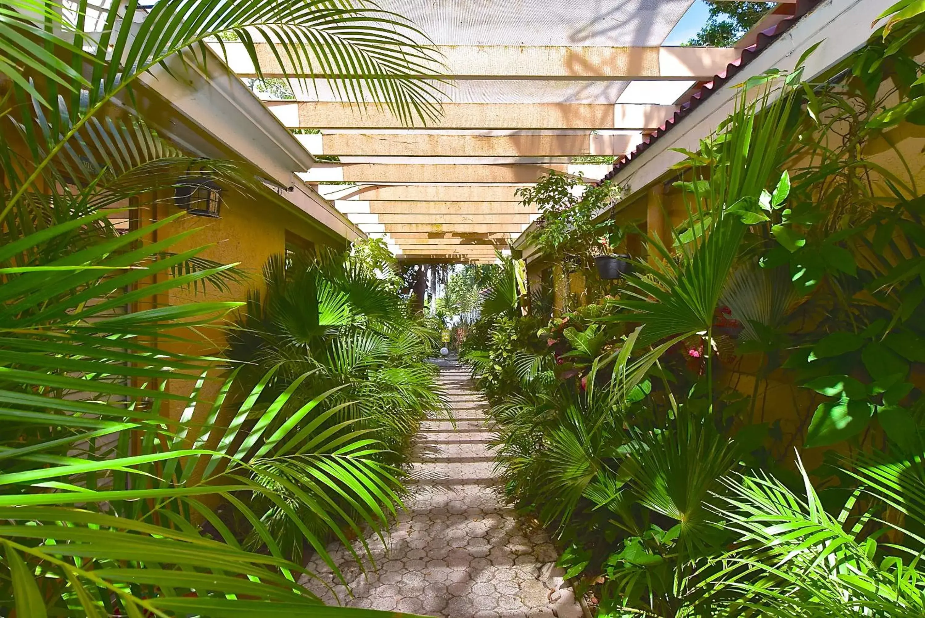Facade/entrance, Garden in Turtle Beach Resort