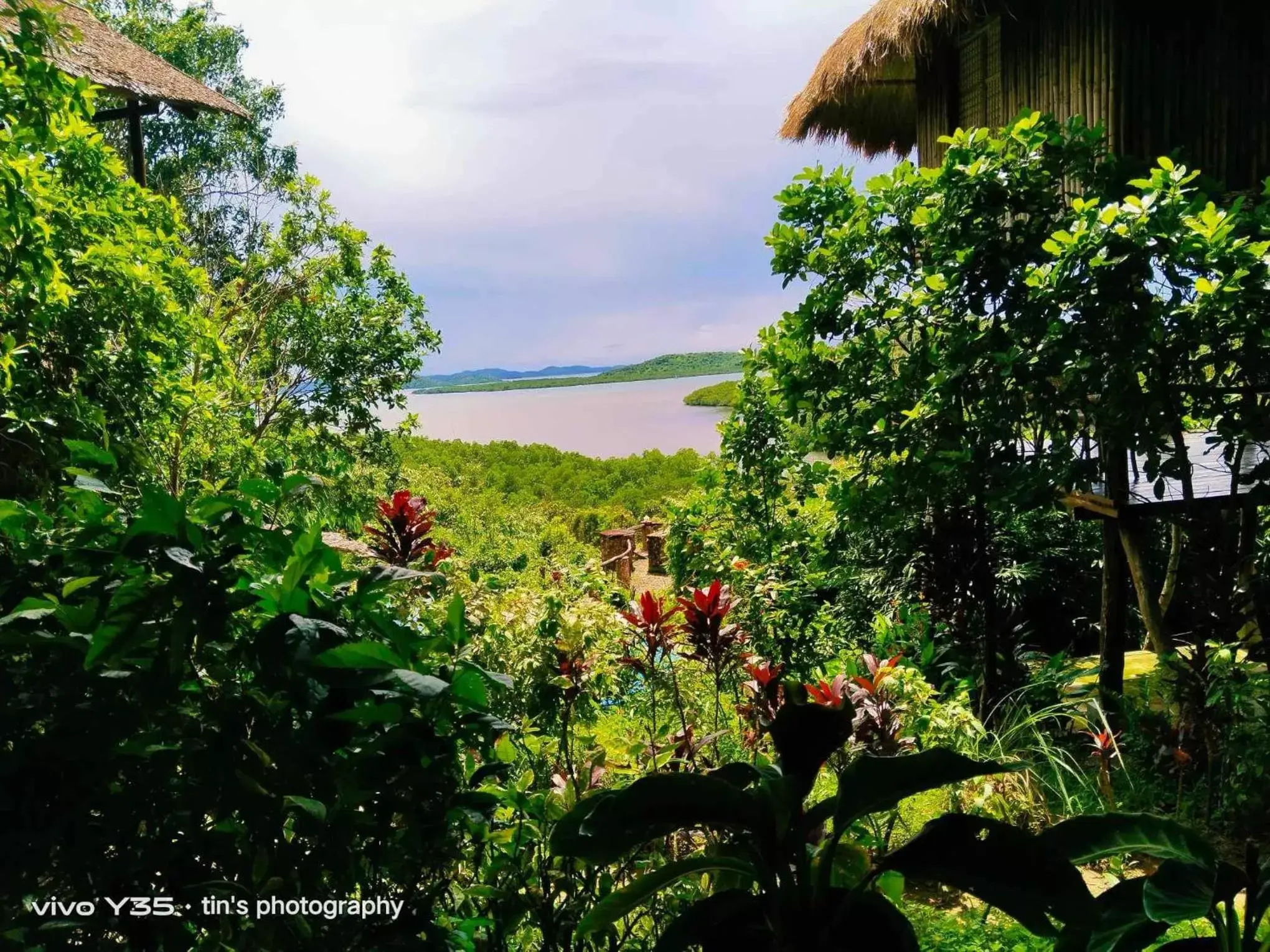 Sanctuaria Treehouses Busuanga