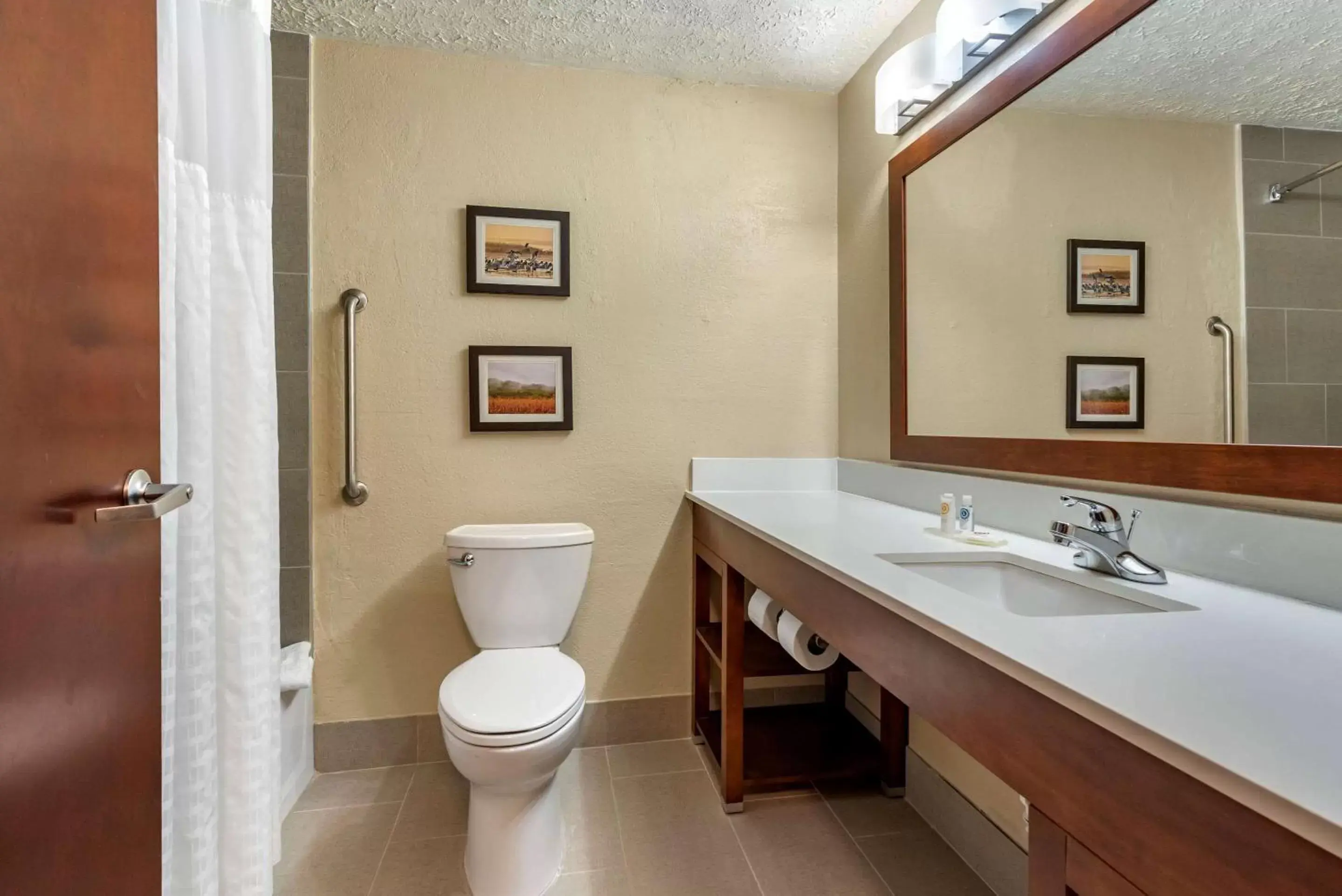 Bathroom in Comfort Inn Madison