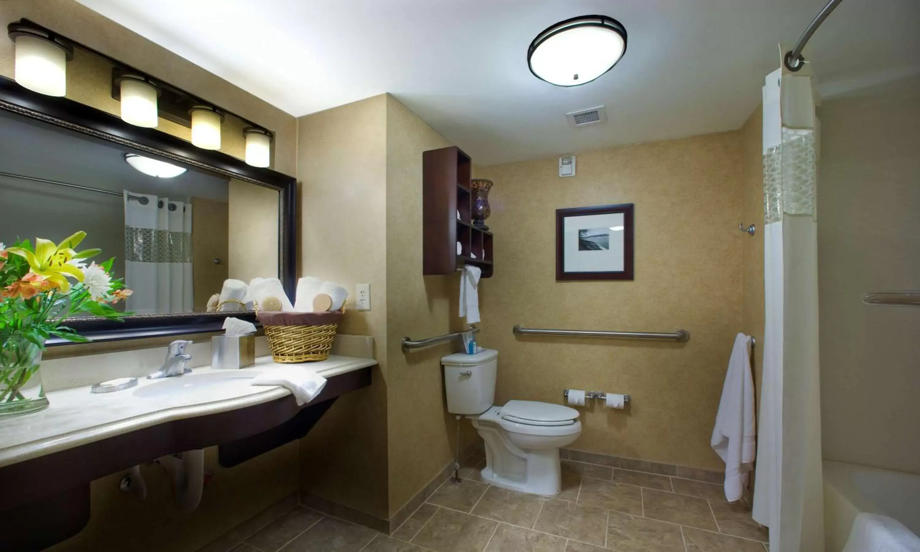 Bathroom in Hampton Inn Atlanta-Canton