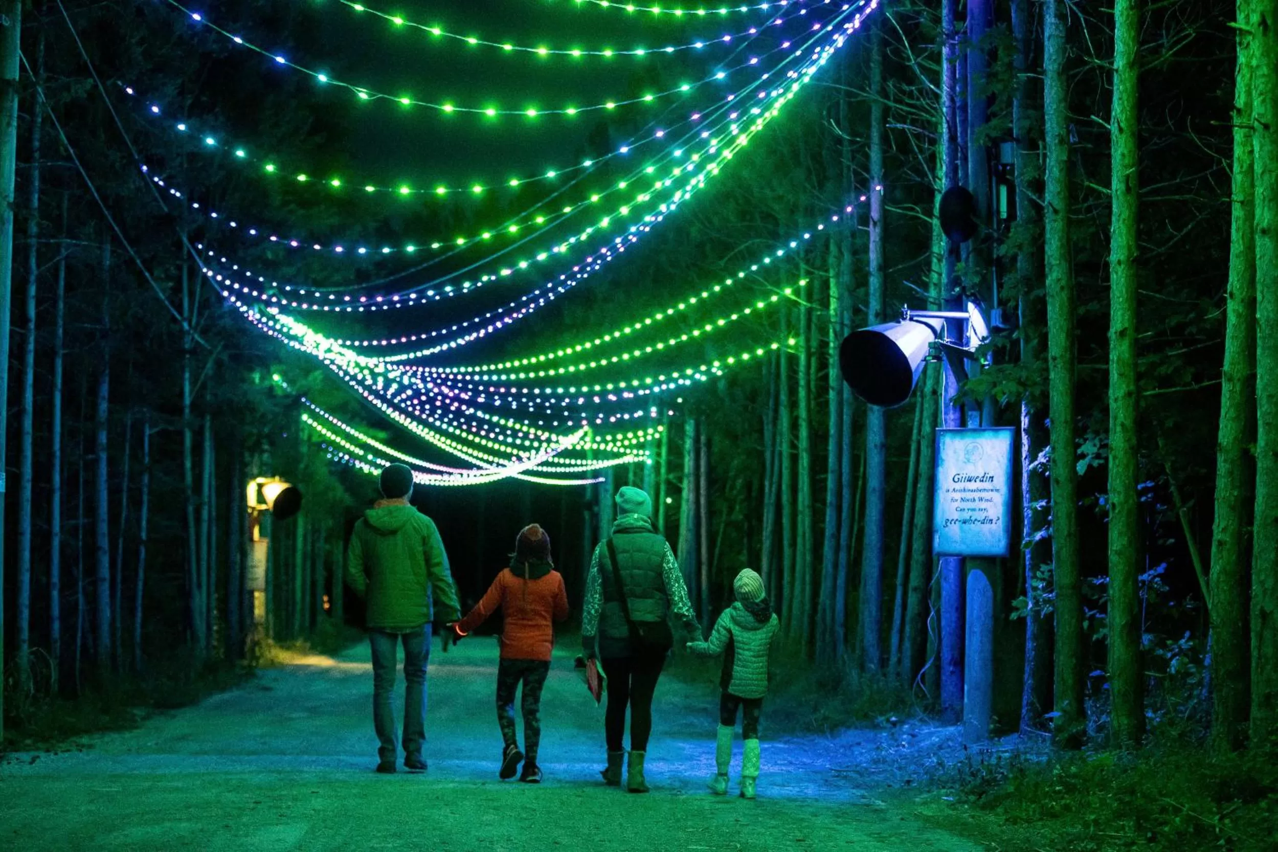 Night in Blue Mountain Resort Home Collection