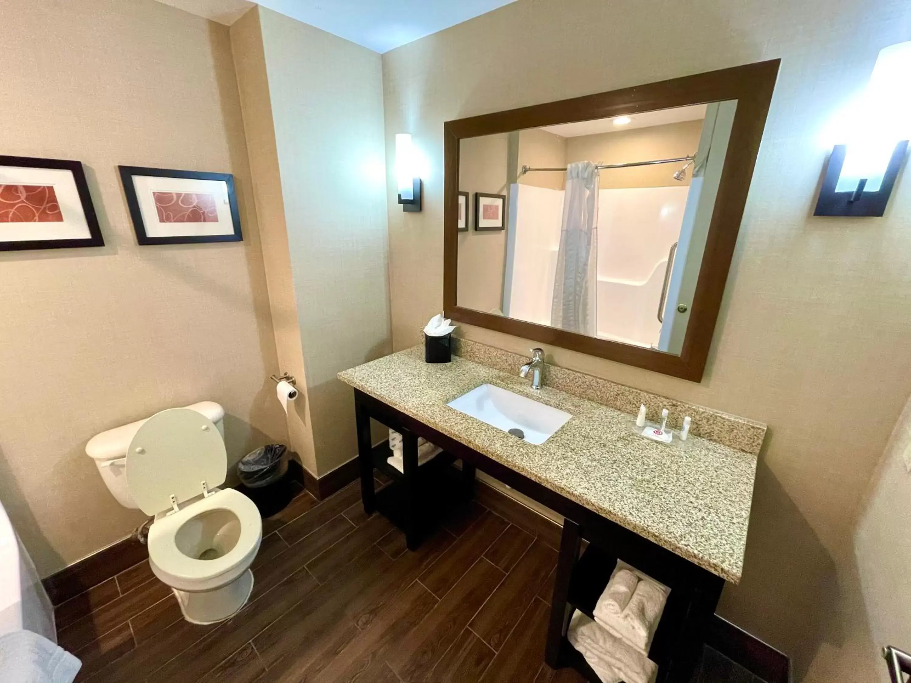 Bathroom in Comfort Suites Bluffton-Hilton Head Island