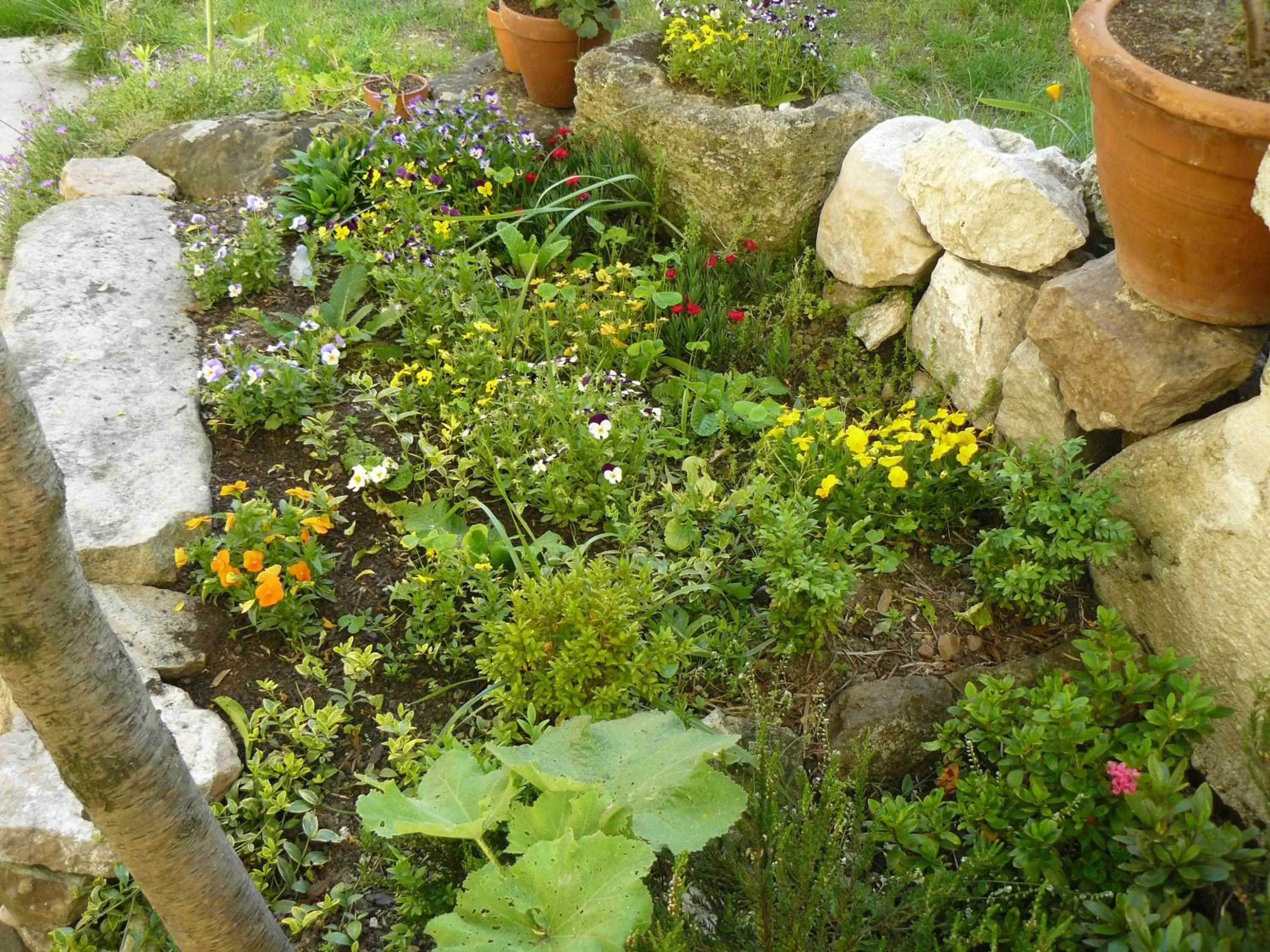 Garden in La Maison de Saumur