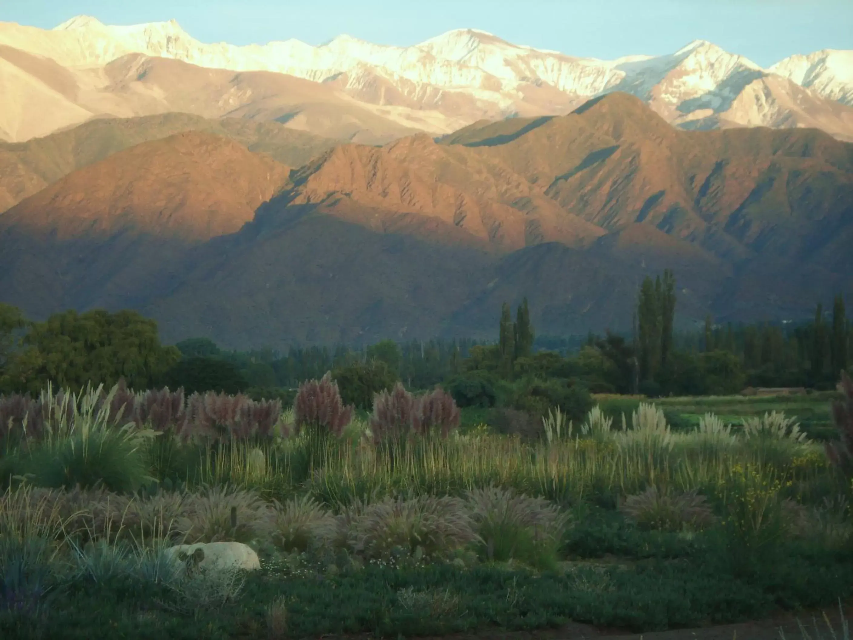 Natural Landscape in La Merced Del Alto