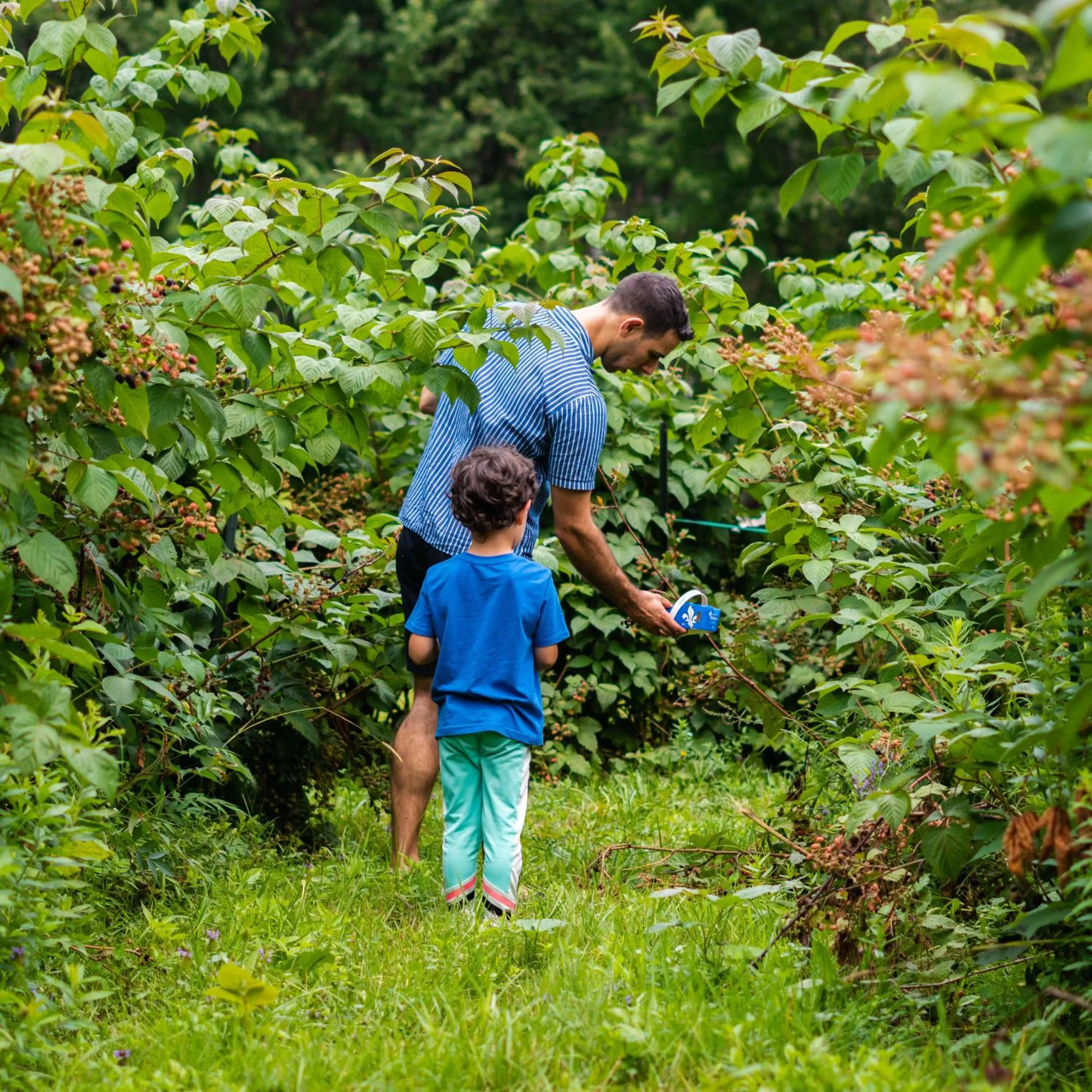 People, Guests in Gite O'bordeleau