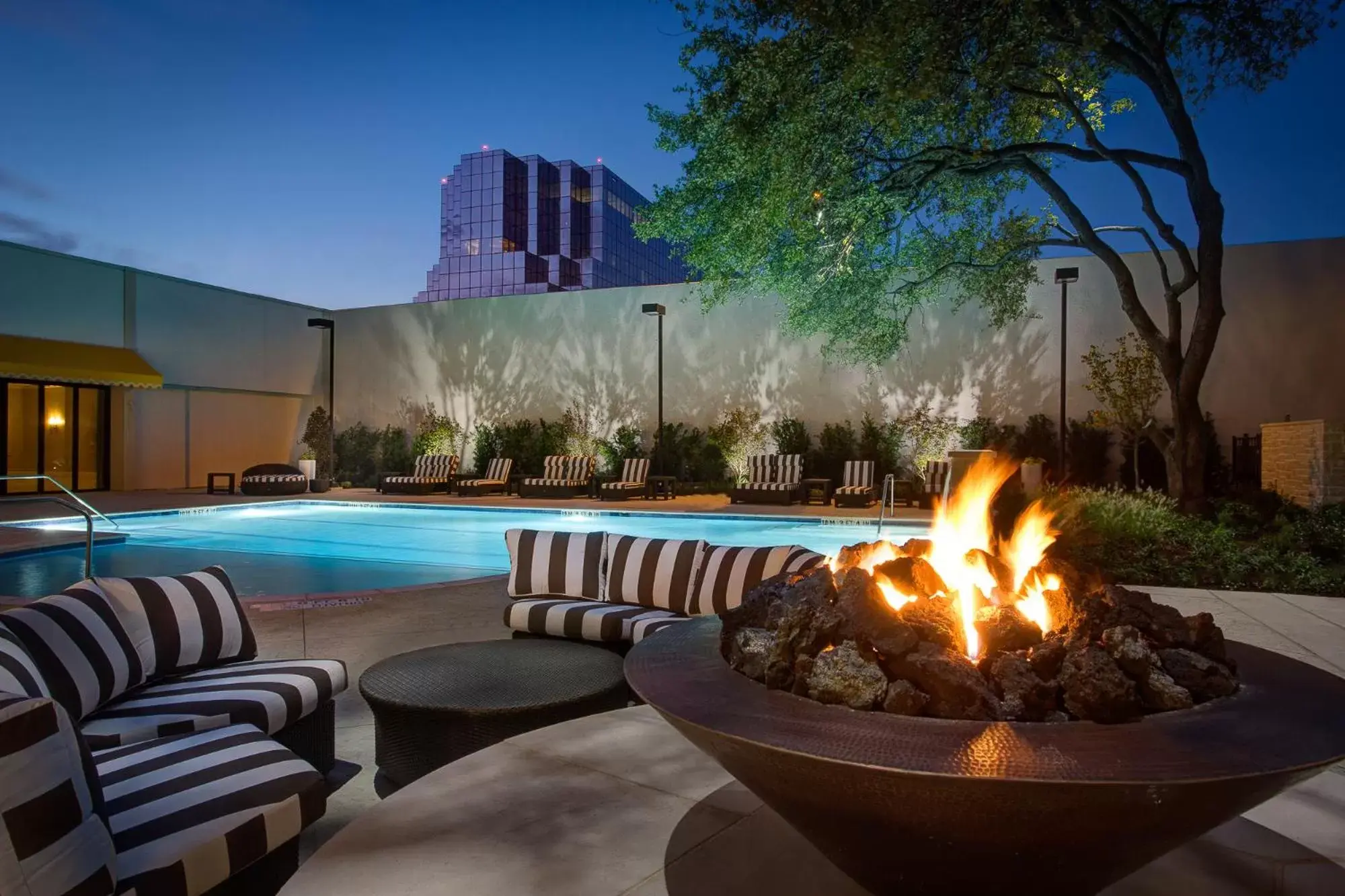 Swimming Pool in Dallas-Addison Marriott Quorum by the Galleria