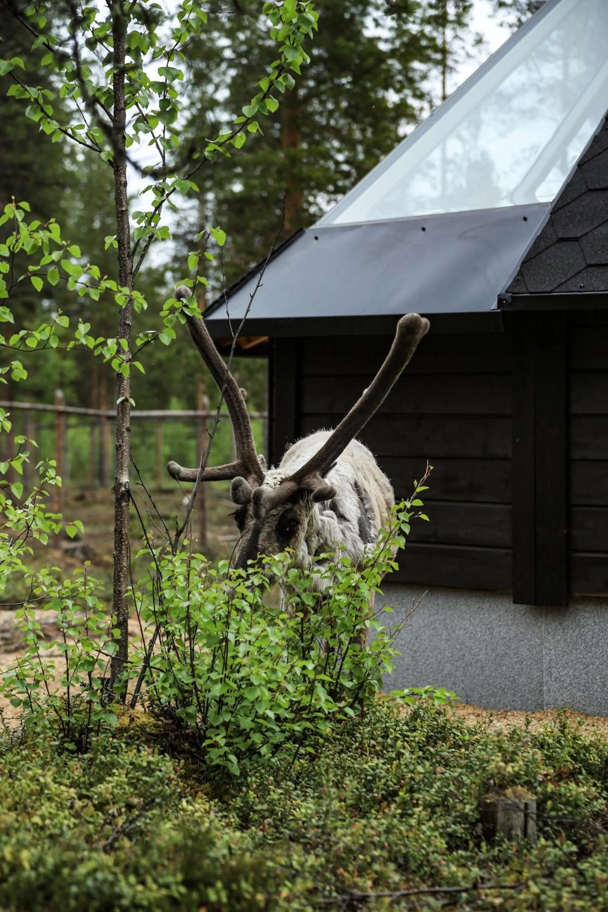 Day in Aurora Village Ivalo