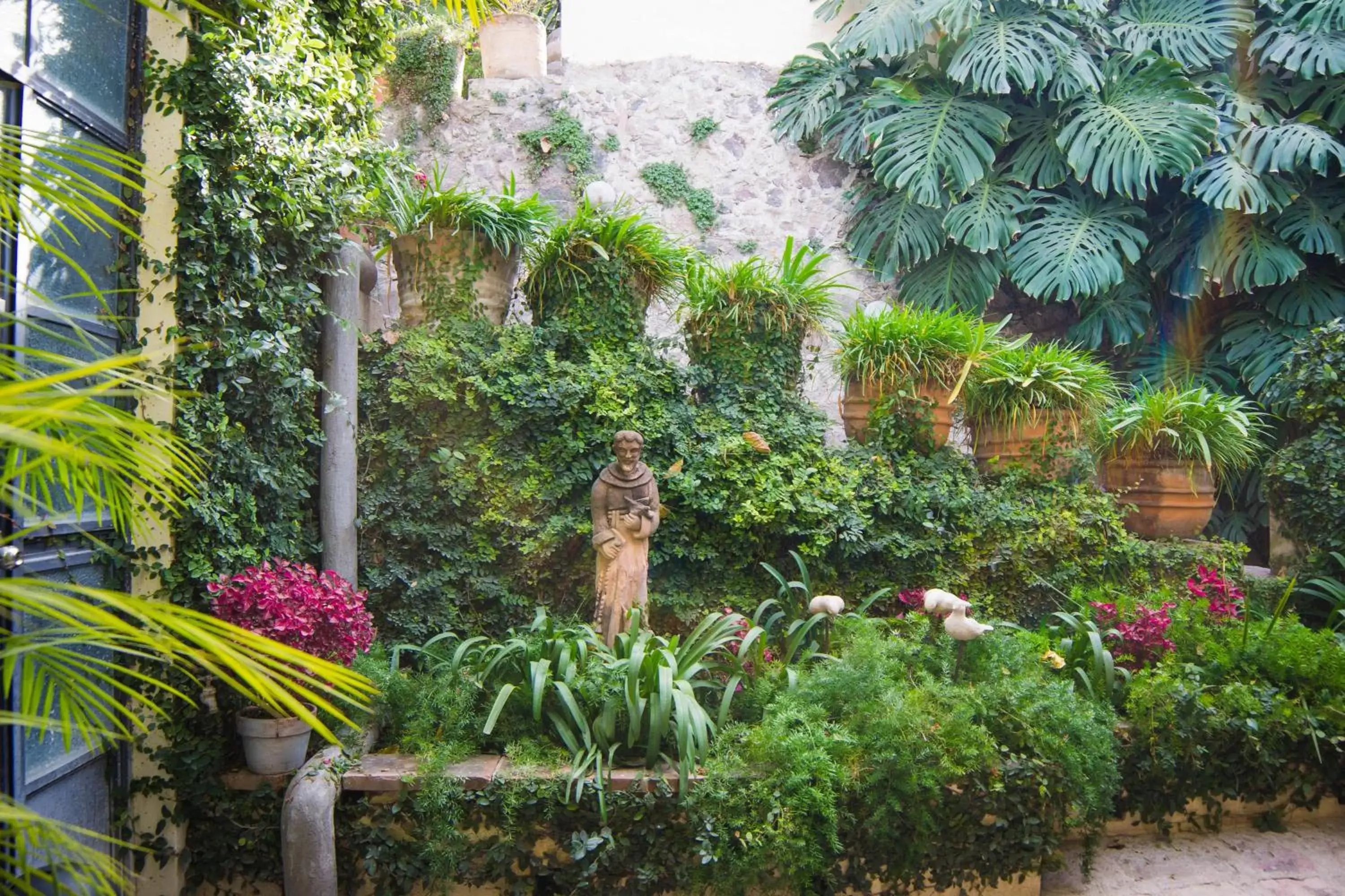 Garden in Las Terrazas