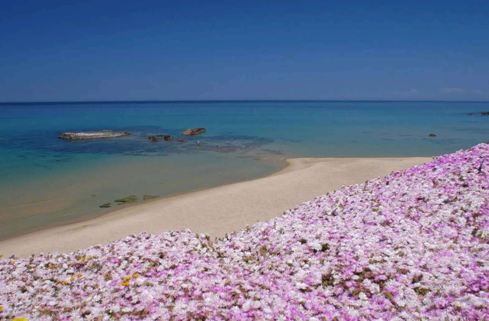 Beach, Natural Landscape in Hotel Residence Ampurias