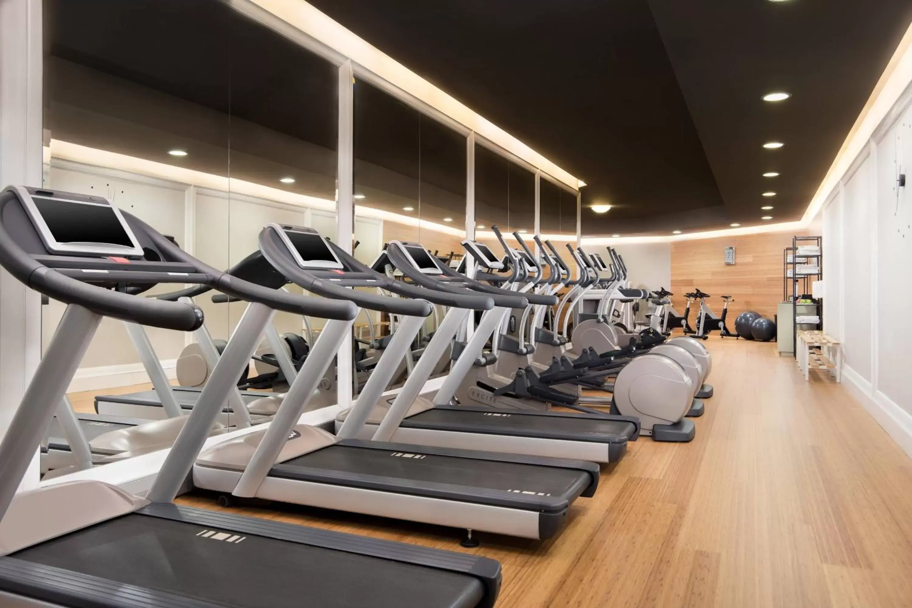 Fitness centre/facilities, Fitness Center/Facilities in Hotel Maria Cristina, a Luxury Collection Hotel, San Sebastian