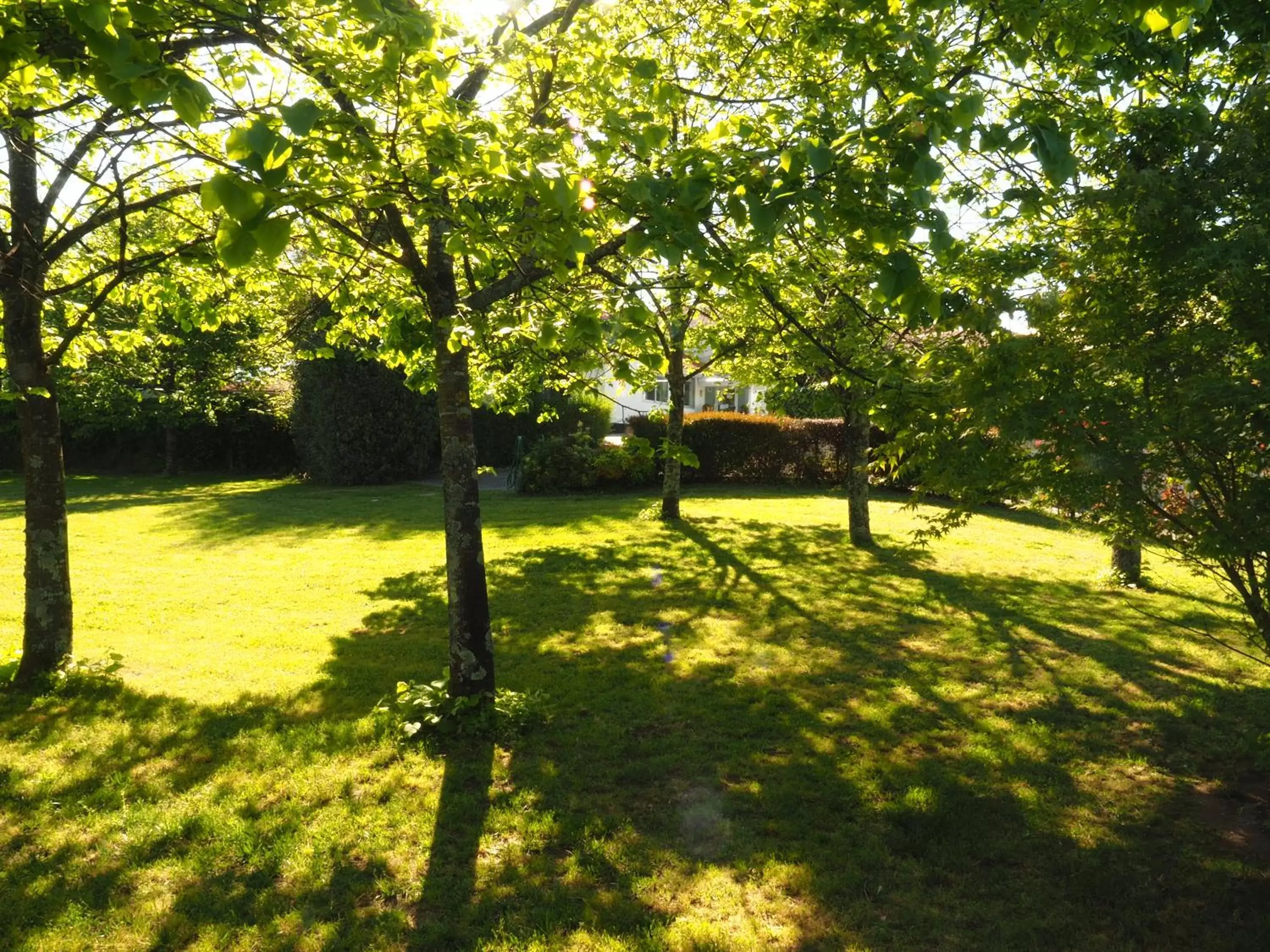 Garden in Hotel Solar das Laranjeiras