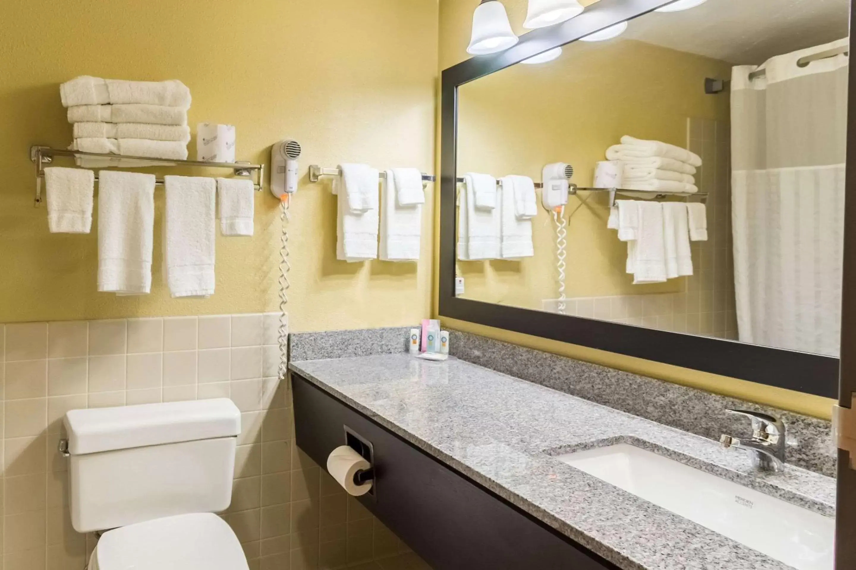 Bathroom in Quality Inn & Suites Mayo Clinic Area