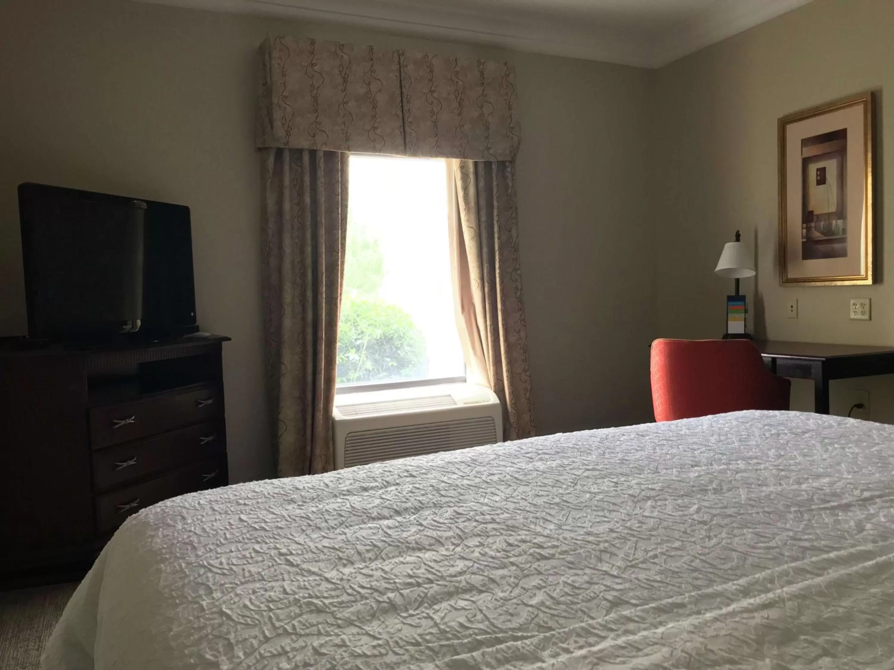 Bedroom, Bed in Hampton Inn Vidalia