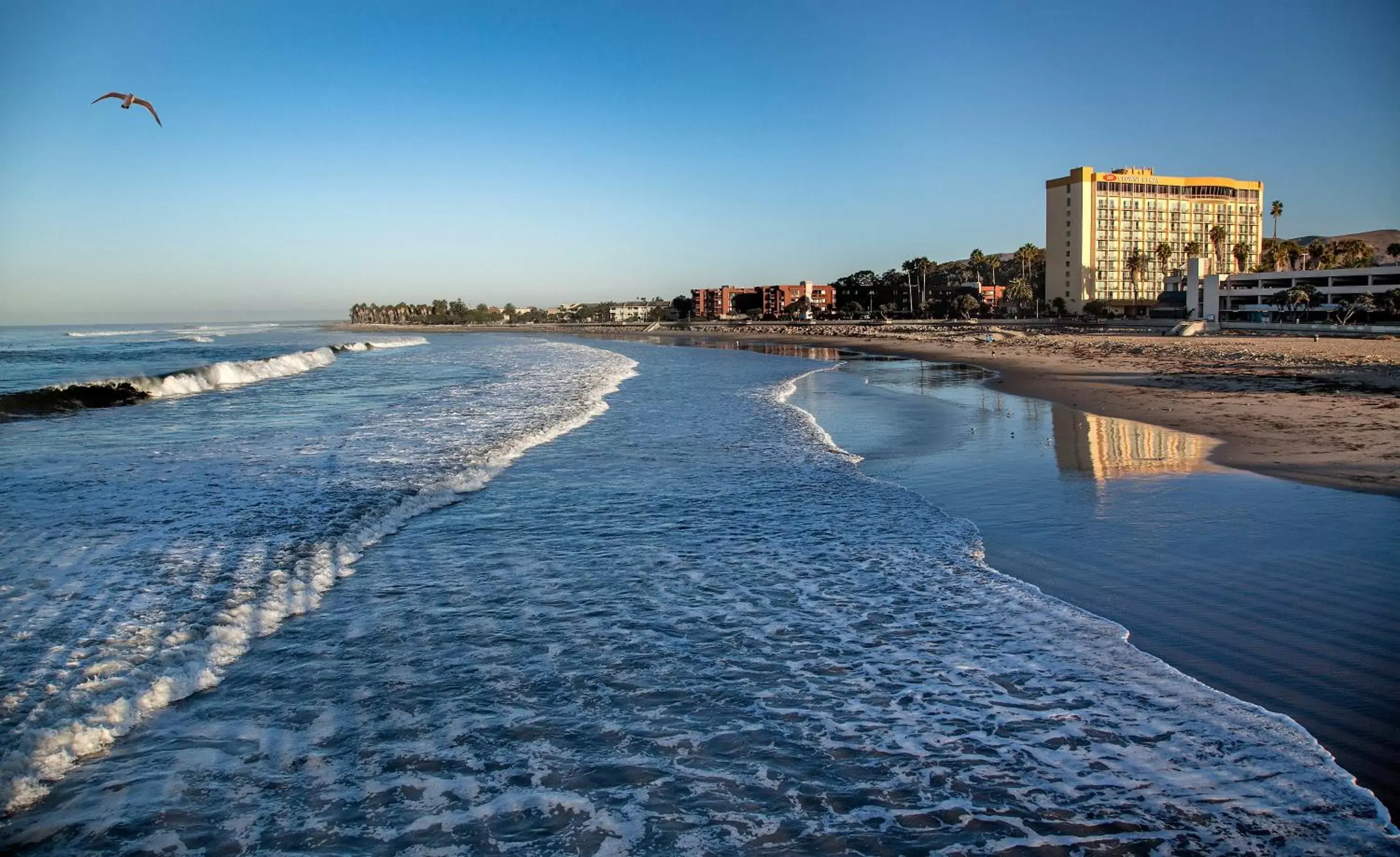 Property building in Crowne Plaza Hotel Ventura Beach, an IHG Hotel