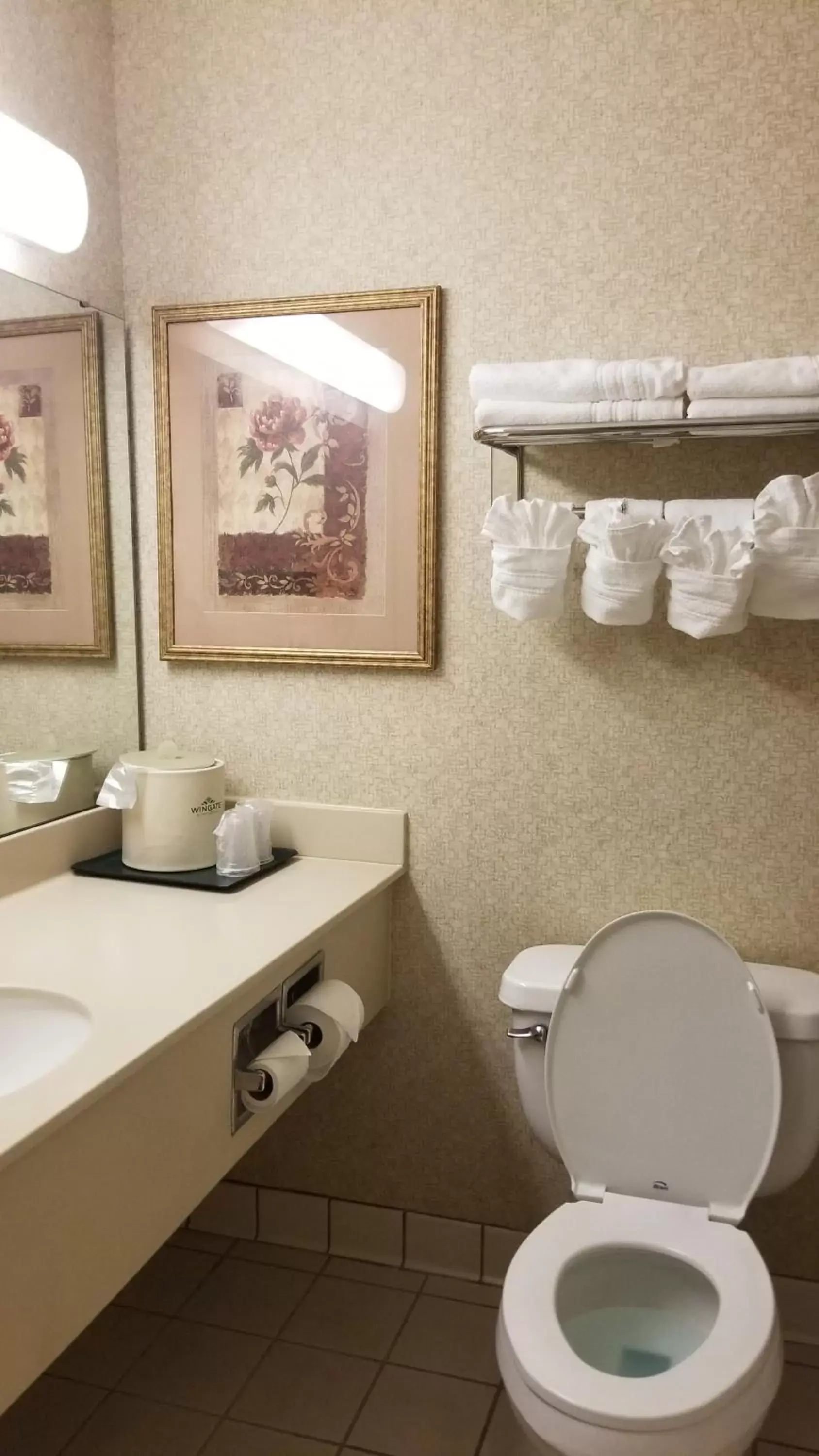 Bathroom in Wingate by Wyndham Airport - Rockville Road