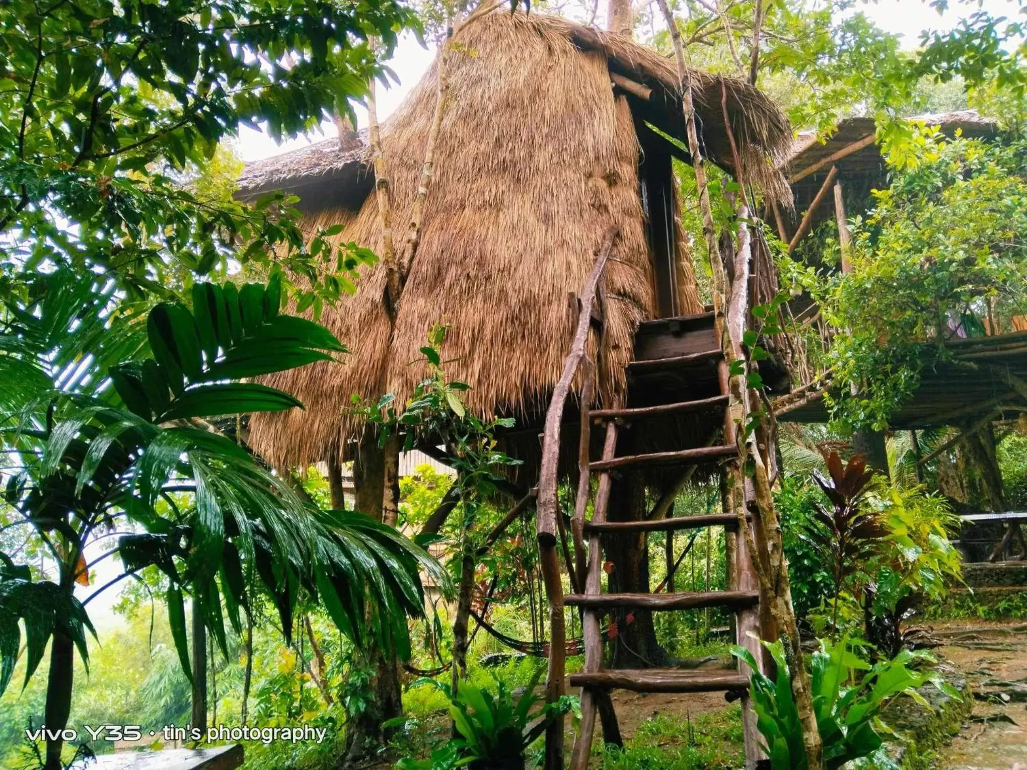 Sanctuaria Treehouses Busuanga