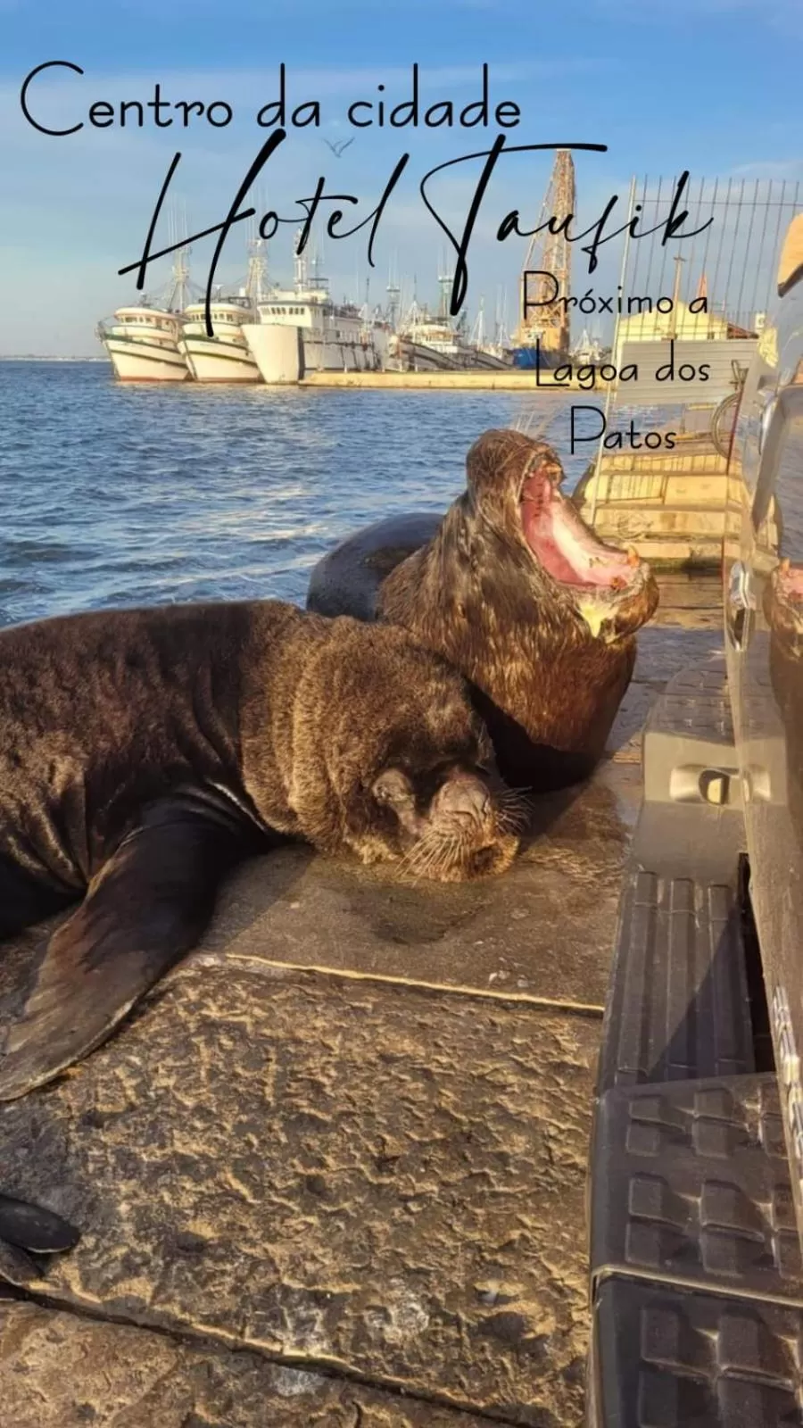 Nearby landmark in Taufik Hotel