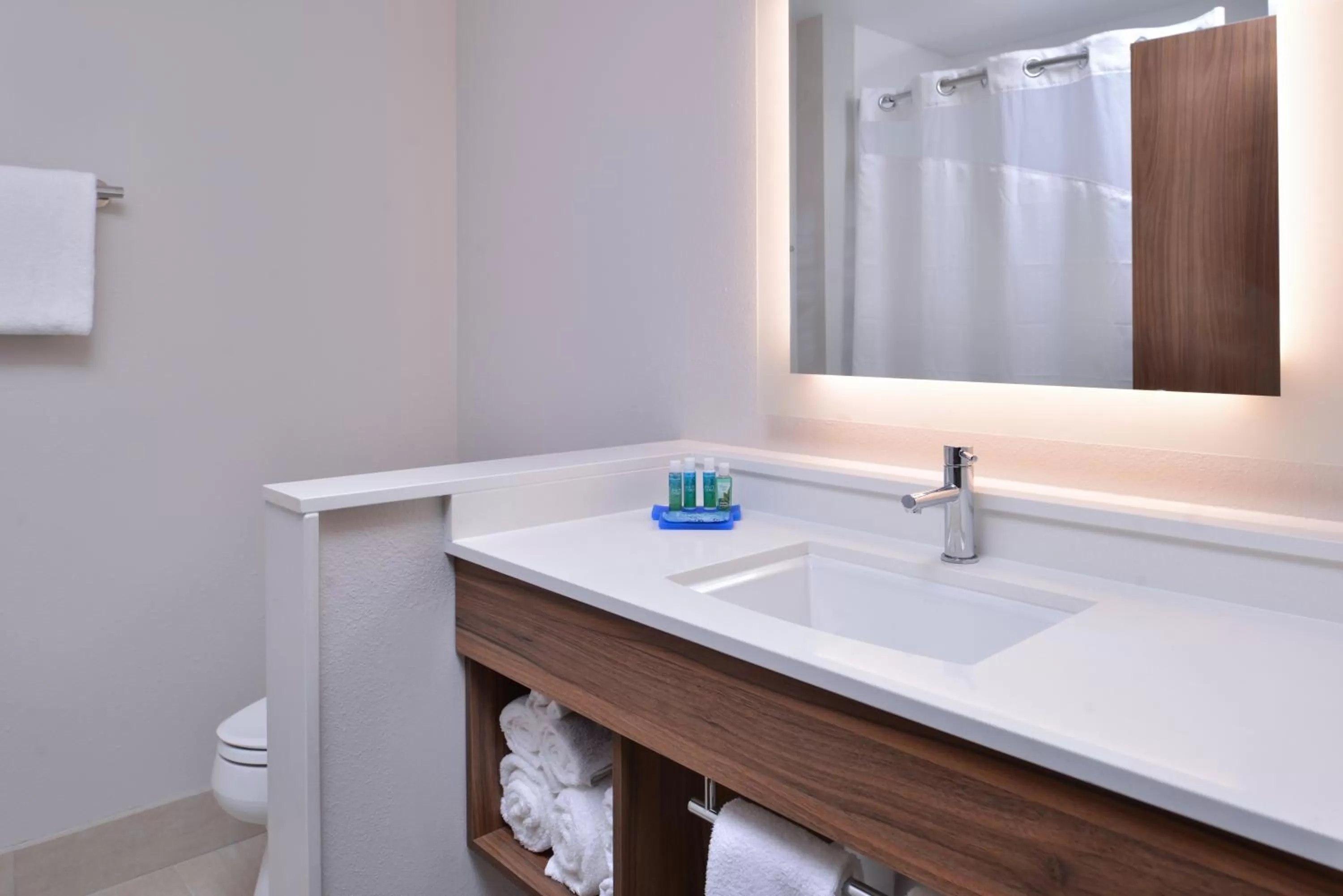 Bathroom in Holiday Inn Express & Suites - Marshalltown by IHG