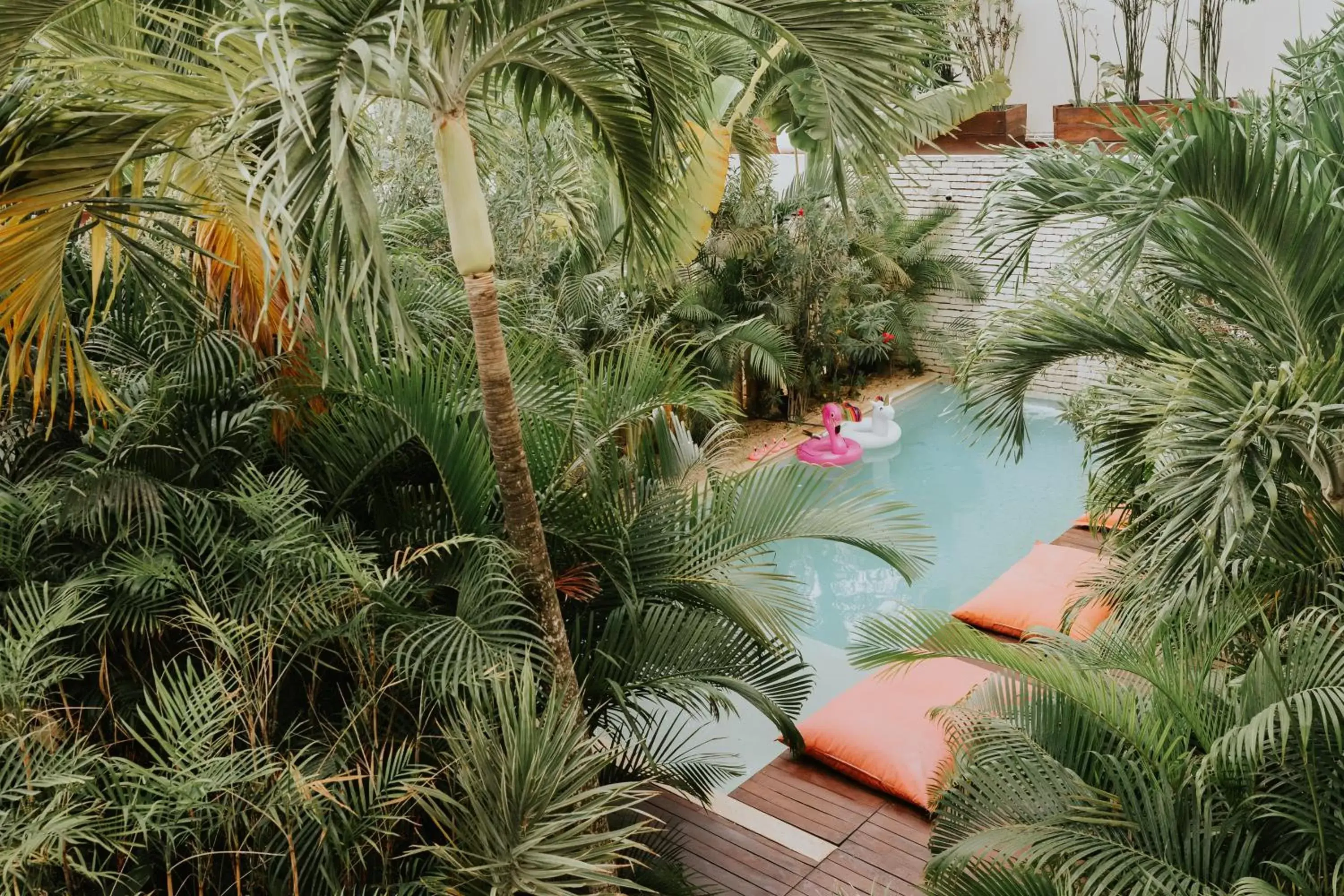 Swimming pool in The Strabon Tulum Swimming pool in The Strabon Tulum