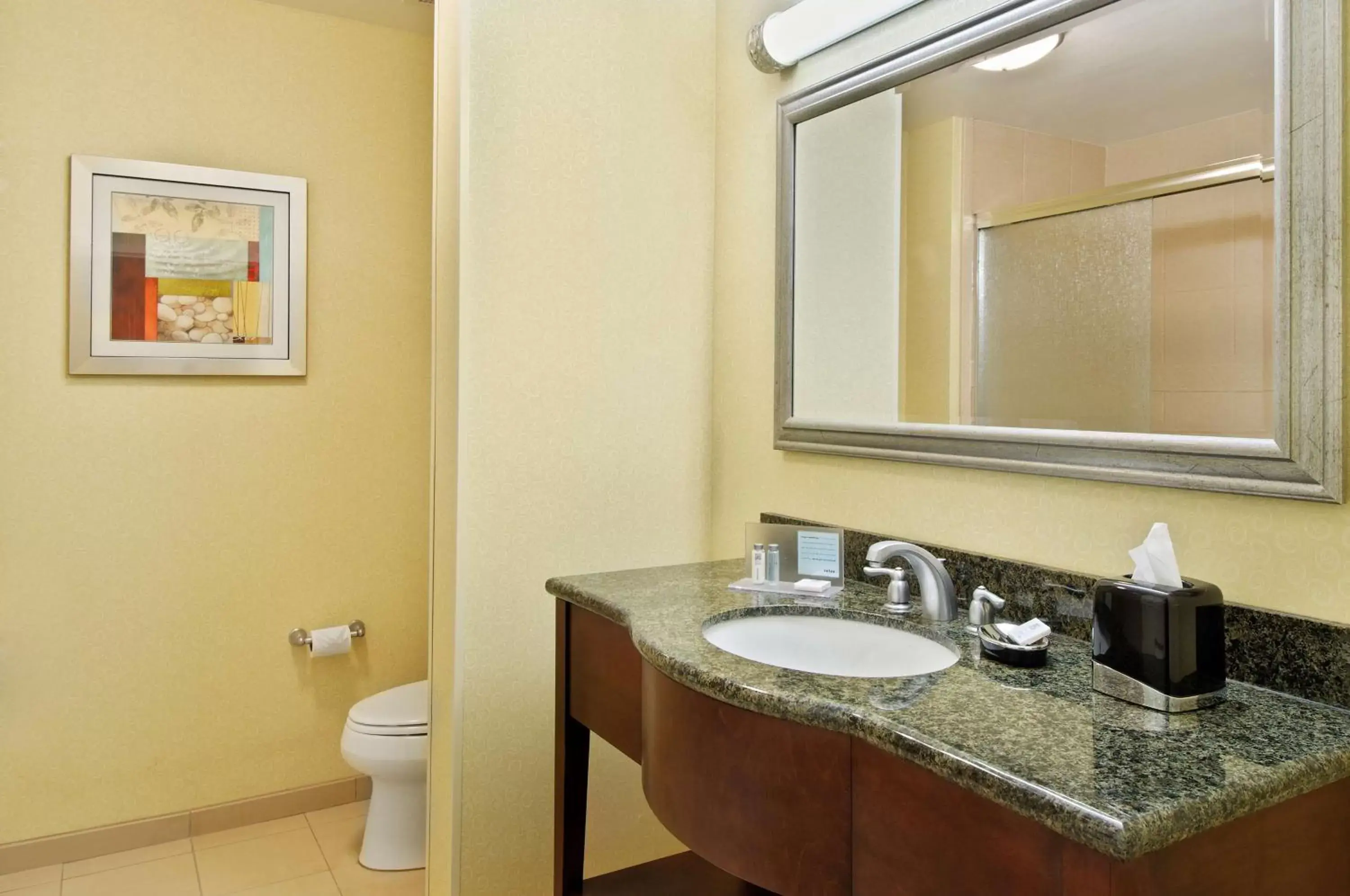 Bathroom in Hampton Inn & Suites Knoxville-Turkey Creek