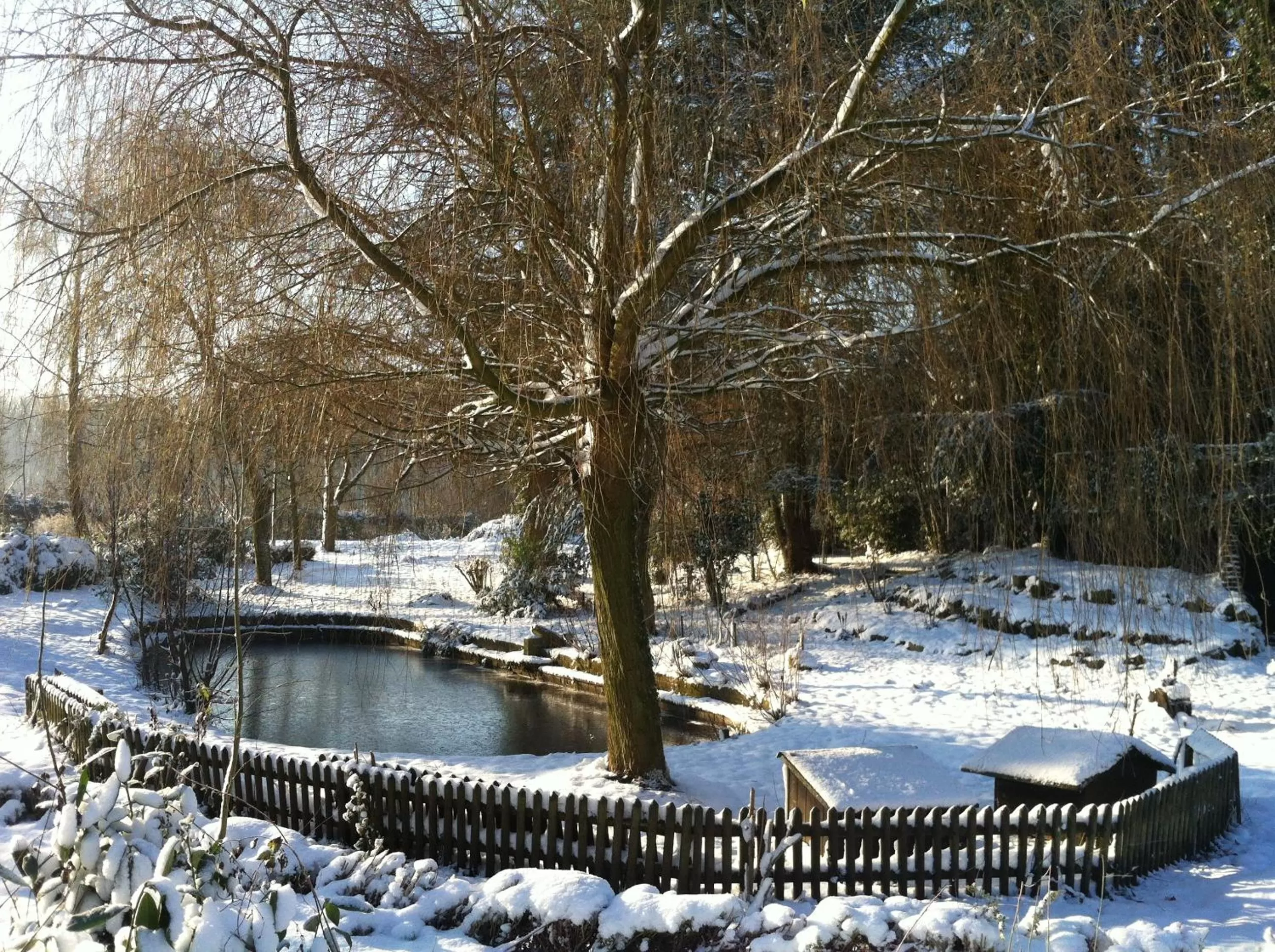 Day in World House Wetten