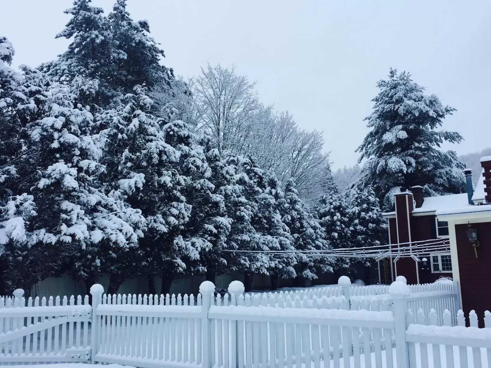 Property building in The Nutmeg Vermont Property building in The Nutmeg Vermont